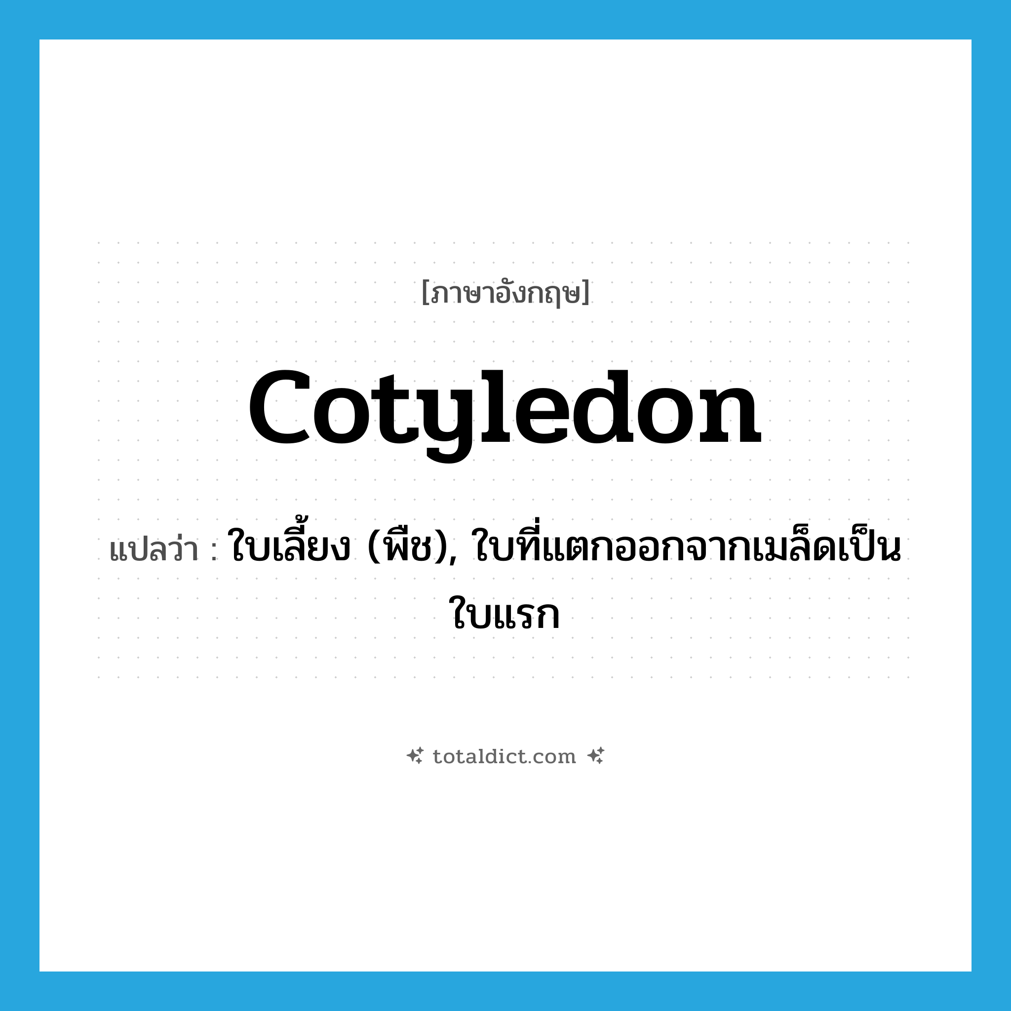 cotyledon แปลว่า?, คำศัพท์ภาษาอังกฤษ cotyledon แปลว่า ใบเลี้ยง (พืช), ใบที่แตกออกจากเมล็ดเป็นใบแรก ประเภท N หมวด N