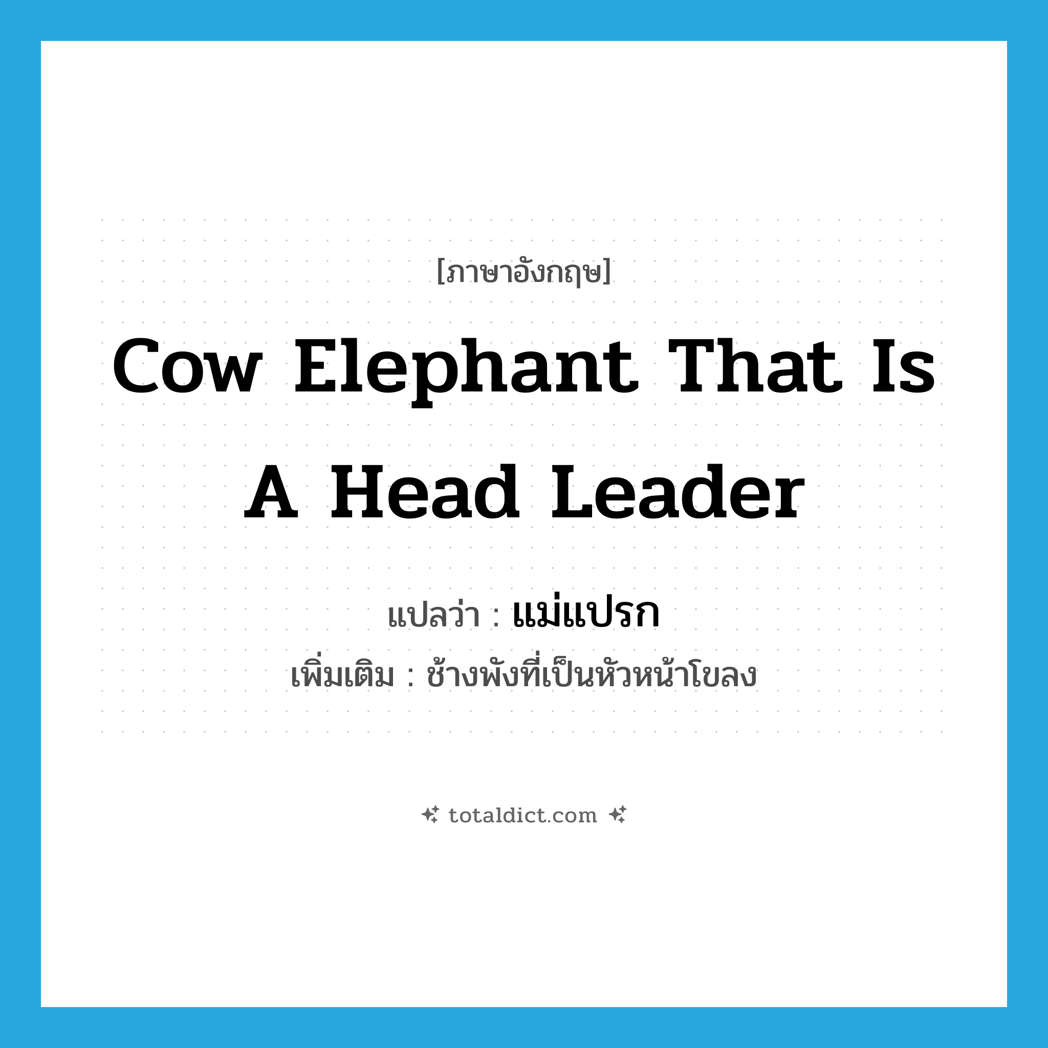 cow elephant that is a head leader แปลว่า?, คำศัพท์ภาษาอังกฤษ cow elephant that is a head leader แปลว่า แม่แปรก ประเภท N เพิ่มเติม ช้างพังที่เป็นหัวหน้าโขลง หมวด N