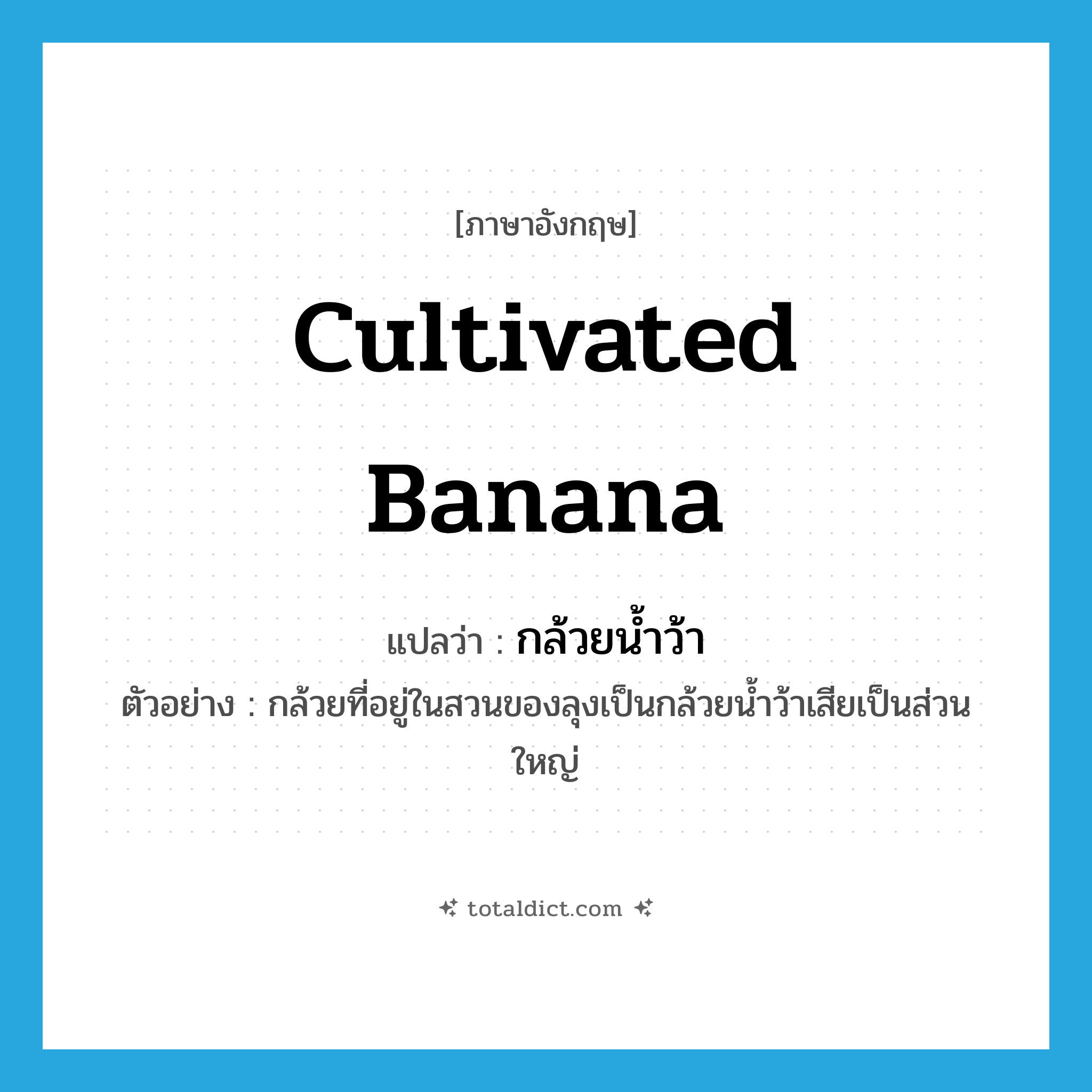 Cultivated banana แปลว่า?, คำศัพท์ภาษาอังกฤษ Cultivated banana แปลว่า กล้วยน้ำว้า ประเภท N ตัวอย่าง กล้วยที่อยู่ในสวนของลุงเป็นกล้วยน้ำว้าเสียเป็นส่วนใหญ่ หมวด N