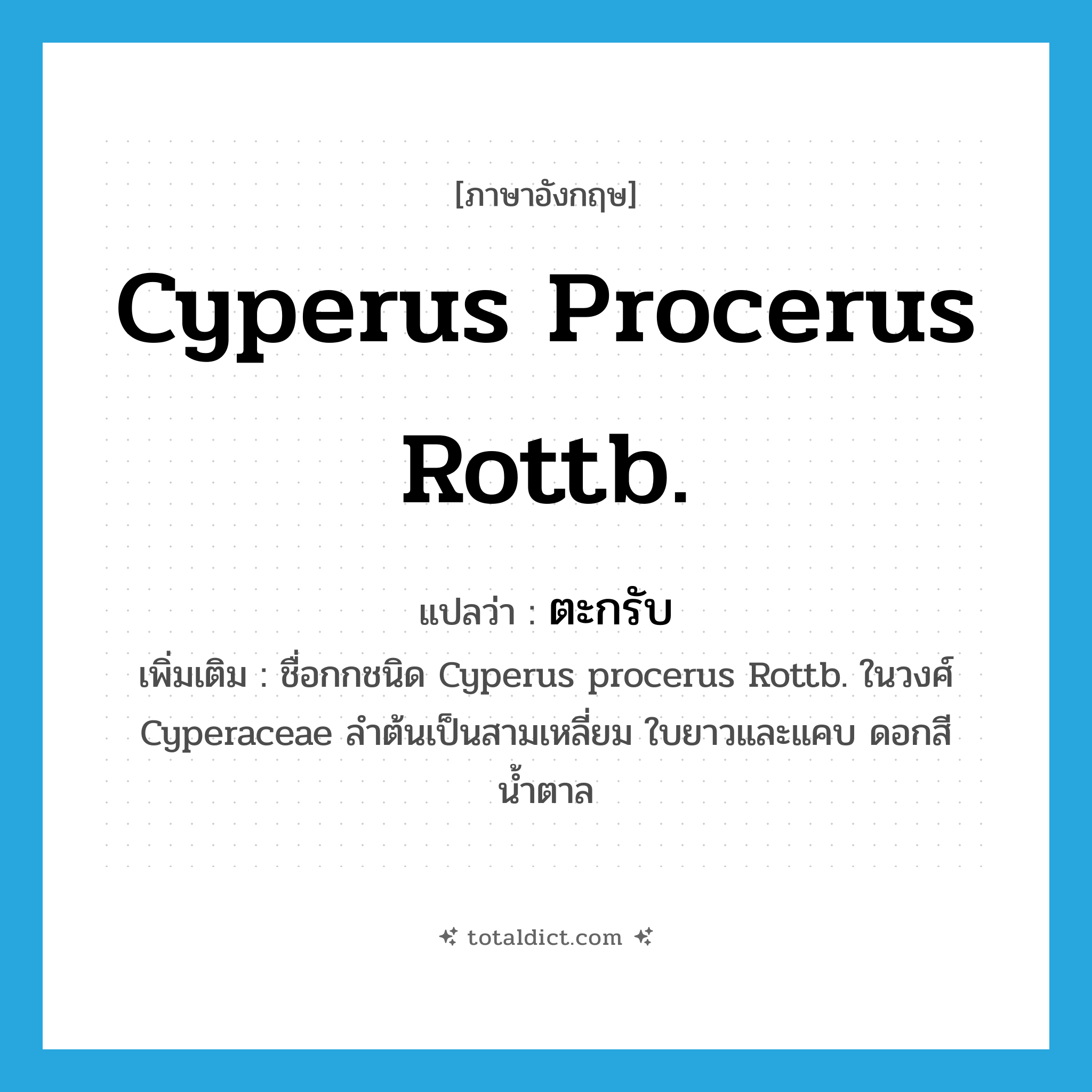 Cyperus procerus Rottb. แปลว่า?, คำศัพท์ภาษาอังกฤษ Cyperus procerus Rottb. แปลว่า ตะกรับ ประเภท N เพิ่มเติม ชื่อกกชนิด Cyperus procerus Rottb. ในวงศ์ Cyperaceae ลำต้นเป็นสามเหลี่ยม ใบยาวและแคบ ดอกสีน้ำตาล หมวด N