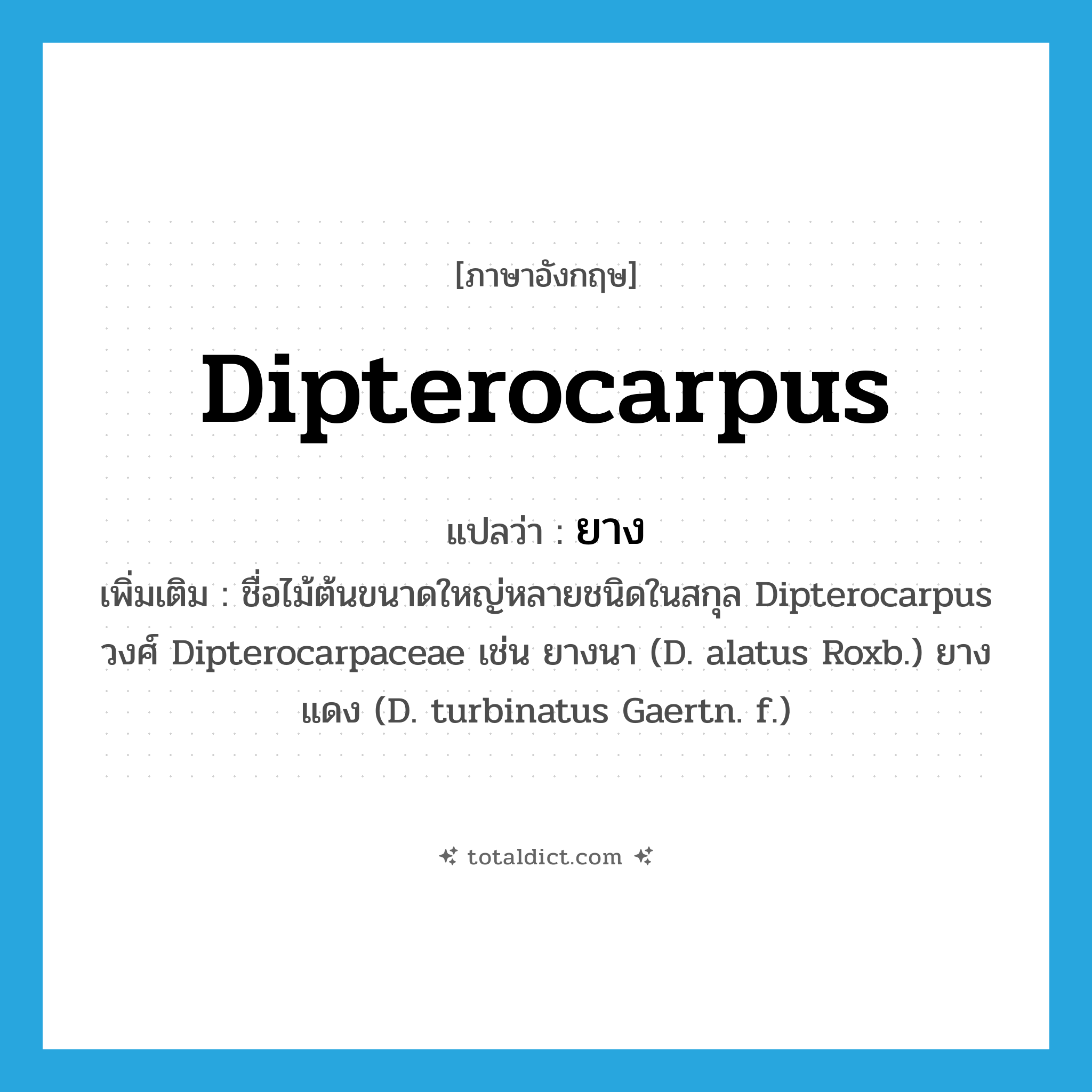 Dipterocarpus แปลว่า?, คำศัพท์ภาษาอังกฤษ Dipterocarpus แปลว่า ยาง ประเภท N เพิ่มเติม ชื่อไม้ต้นขนาดใหญ่หลายชนิดในสกุล Dipterocarpus วงศ์ Dipterocarpaceae เช่น ยางนา (D. alatus Roxb.) ยางแดง (D. turbinatus Gaertn. f.) หมวด N