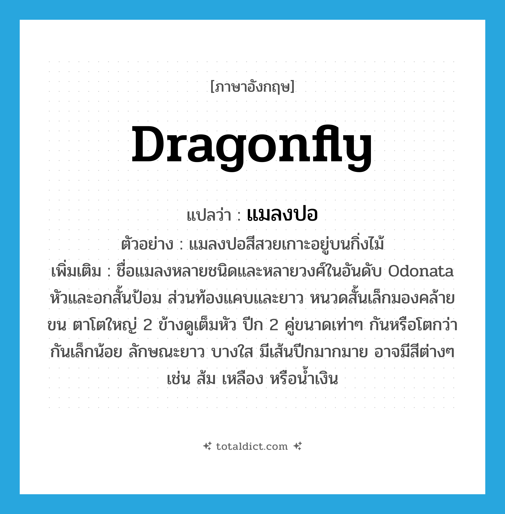 dragonfly แปลว่า?, คำศัพท์ภาษาอังกฤษ dragonfly แปลว่า แมลงปอ ประเภท N ตัวอย่าง แมลงปอสีสวยเกาะอยู่บนกิ่งไม้ เพิ่มเติม ชื่อแมลงหลายชนิดและหลายวงศ์ในอันดับ Odonata หัวและอกสั้นป้อม ส่วนท้องแคบและยาว หนวดสั้นเล็กมองคล้ายขน ตาโตใหญ่ 2 ข้างดูเต็มหัว ปีก 2 คู่ขนาดเท่าๆ กันหรือโตกว่ากันเล็กน้อย ลักษณะยาว บางใส มีเส้นปีกมากมาย อาจมีสีต่างๆ เช่น ส้ม เหลือง หรือน้ำเงิน หมวด N