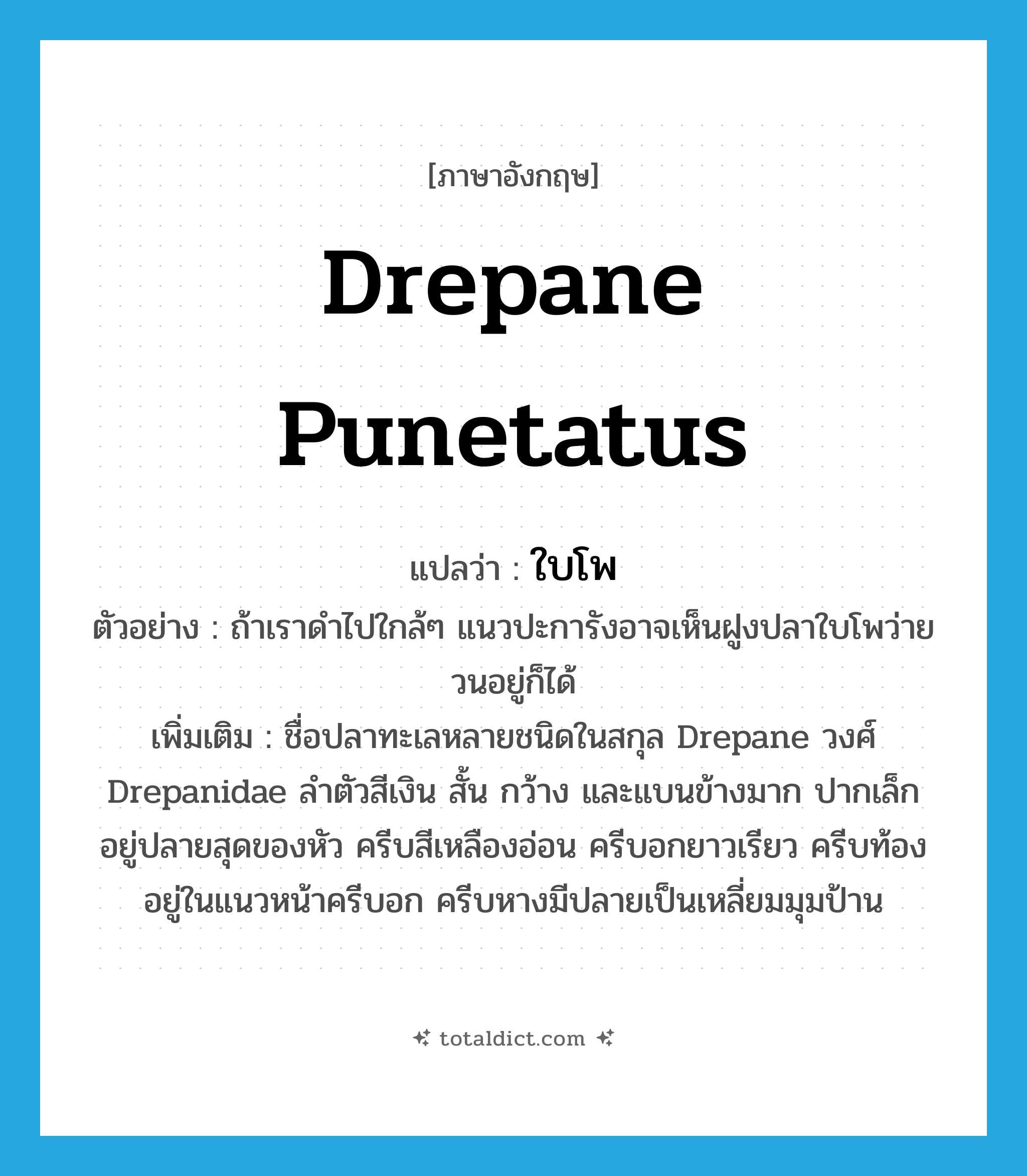 drepane punetatus แปลว่า?, คำศัพท์ภาษาอังกฤษ drepane punetatus แปลว่า ใบโพ ประเภท N ตัวอย่าง ถ้าเราดำไปใกล้ๆ แนวปะการังอาจเห็นฝูงปลาใบโพว่ายวนอยู่ก็ได้ เพิ่มเติม ชื่อปลาทะเลหลายชนิดในสกุล Drepane วงศ์ Drepanidae ลำตัวสีเงิน สั้น กว้าง และแบนข้างมาก ปากเล็กอยู่ปลายสุดของหัว ครีบสีเหลืองอ่อน ครีบอกยาวเรียว ครีบท้องอยู่ในแนวหน้าครีบอก ครีบหางมีปลายเป็นเหลี่ยมมุมป้าน หมวด N