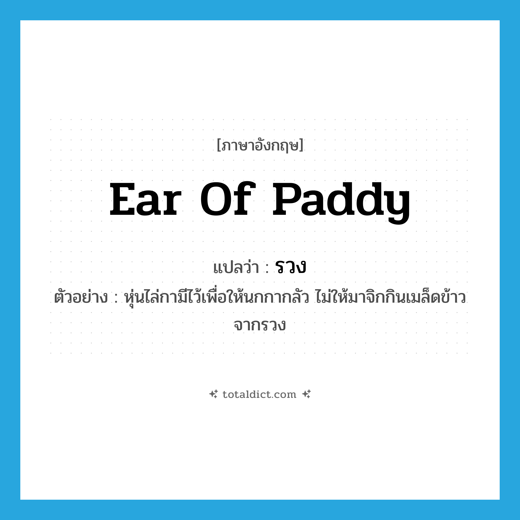 ear of paddy แปลว่า?, คำศัพท์ภาษาอังกฤษ ear of paddy แปลว่า รวง ประเภท N ตัวอย่าง หุ่นไล่กามีไว้เพื่อให้นกกากลัว ไม่ให้มาจิกกินเมล็ดข้าวจากรวง หมวด N