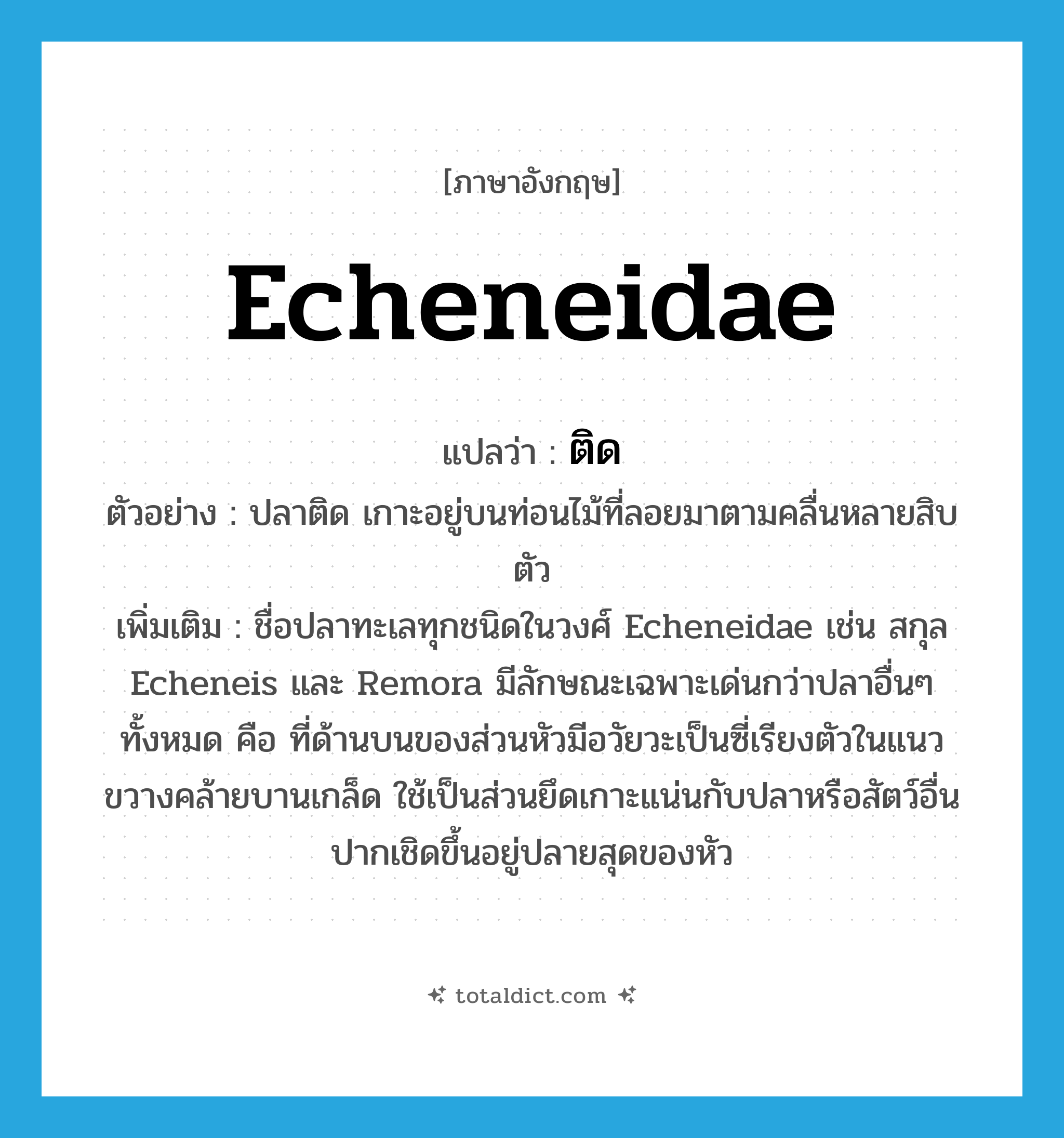 Echeneidae แปลว่า?, คำศัพท์ภาษาอังกฤษ Echeneidae แปลว่า ติด ประเภท N ตัวอย่าง ปลาติด เกาะอยู่บนท่อนไม้ที่ลอยมาตามคลื่นหลายสิบตัว เพิ่มเติม ชื่อปลาทะเลทุกชนิดในวงศ์ Echeneidae เช่น สกุล Echeneis และ Remora มีลักษณะเฉพาะเด่นกว่าปลาอื่นๆ ทั้งหมด คือ ที่ด้านบนของส่วนหัวมีอวัยวะเป็นซี่เรียงตัวในแนวขวางคล้ายบานเกล็ด ใช้เป็นส่วนยึดเกาะแน่นกับปลาหรือสัตว์อื่น ปากเชิดขึ้นอยู่ปลายสุดของหัว หมวด N