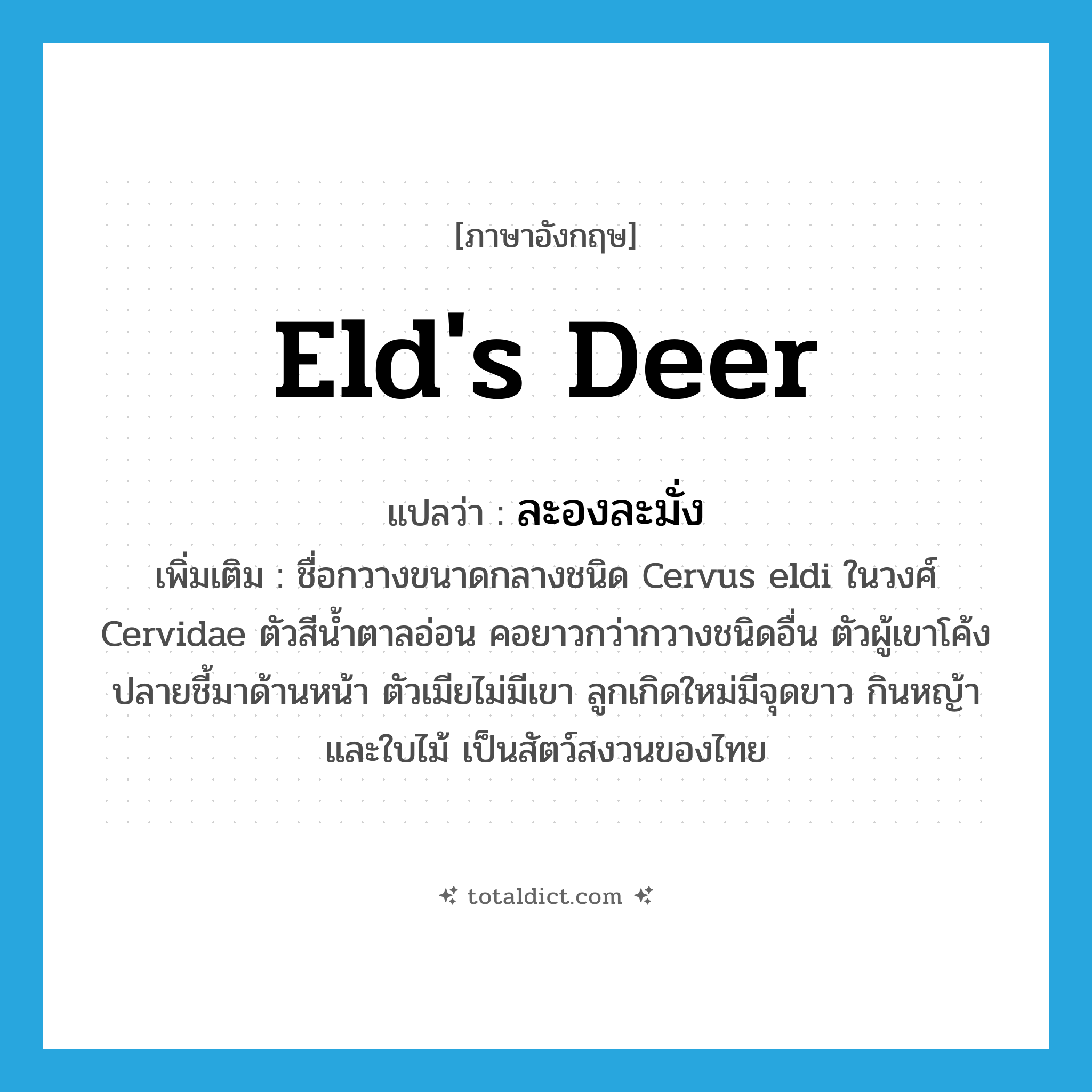 Eld&#39;s deer แปลว่า?, คำศัพท์ภาษาอังกฤษ Eld&#39;s deer แปลว่า ละองละมั่ง ประเภท N เพิ่มเติม ชื่อกวางขนาดกลางชนิด Cervus eldi ในวงศ์ Cervidae ตัวสีน้ำตาลอ่อน คอยาวกว่ากวางชนิดอื่น ตัวผู้เขาโค้งปลายชี้มาด้านหน้า ตัวเมียไม่มีเขา ลูกเกิดใหม่มีจุดขาว กินหญ้าและใบไม้ เป็นสัตว์สงวนของไทย หมวด N