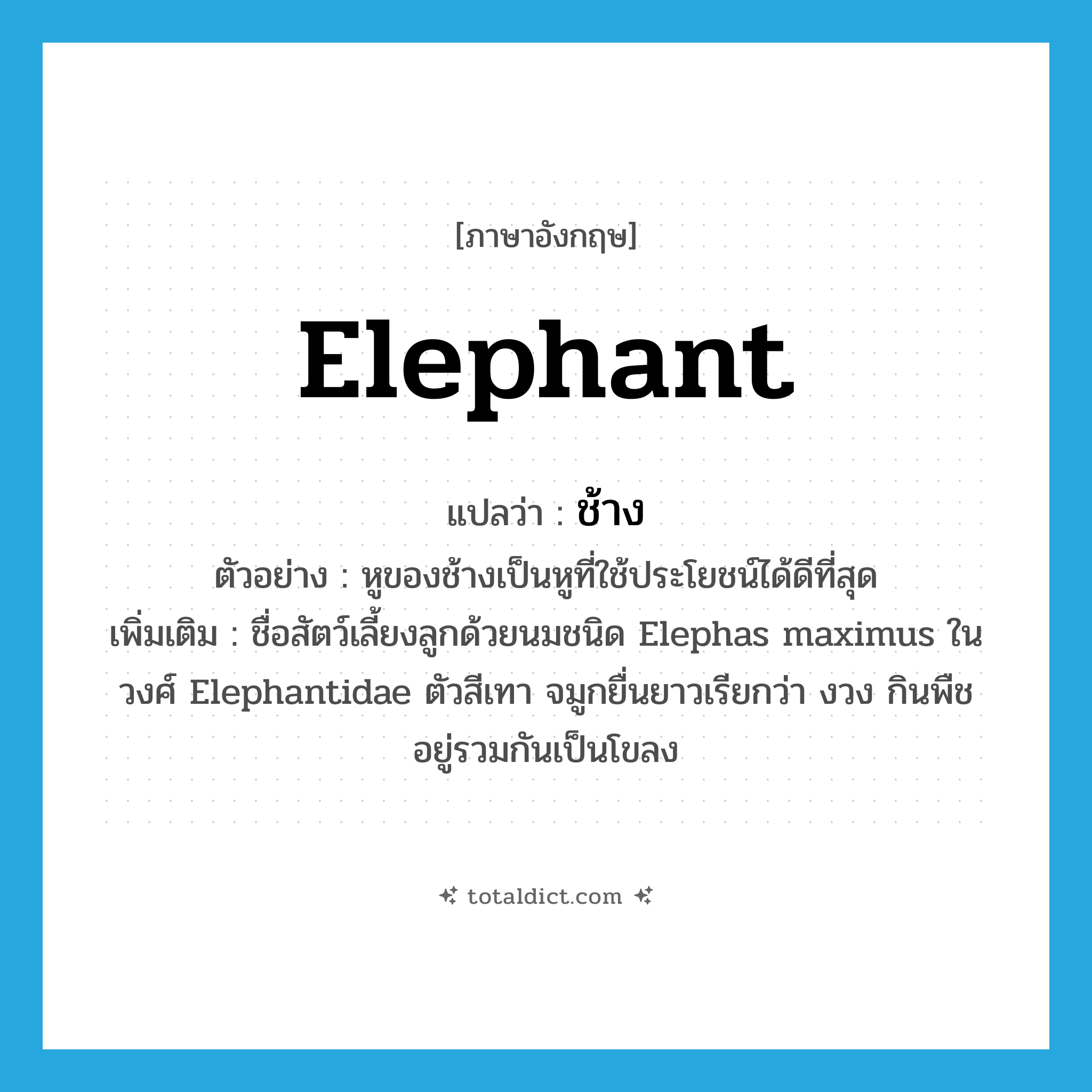 elephant แปลว่า?, คำศัพท์ภาษาอังกฤษ elephant แปลว่า ช้าง ประเภท N ตัวอย่าง หูของช้างเป็นหูที่ใช้ประโยชน์ได้ดีที่สุด เพิ่มเติม ชื่อสัตว์เลี้ยงลูกด้วยนมชนิด Elephas maximus ในวงศ์ Elephantidae ตัวสีเทา จมูกยื่นยาวเรียกว่า งวง กินพืช อยู่รวมกันเป็นโขลง หมวด N