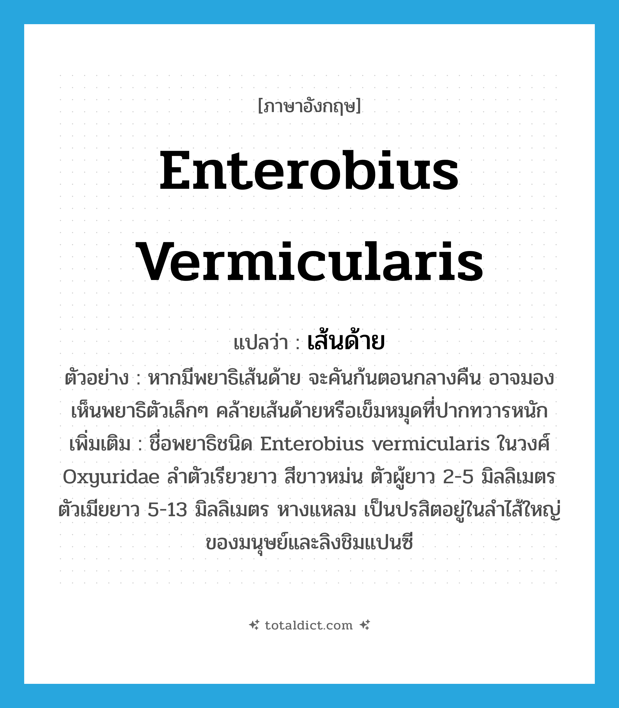 Enterobius vermicularis แปลว่า?, คำศัพท์ภาษาอังกฤษ Enterobius vermicularis แปลว่า เส้นด้าย ประเภท N ตัวอย่าง หากมีพยาธิเส้นด้าย จะคันก้นตอนกลางคืน อาจมองเห็นพยาธิตัวเล็กๆ คล้ายเส้นด้ายหรือเข็มหมุดที่ปากทวารหนัก เพิ่มเติม ชื่อพยาธิชนิด Enterobius vermicularis ในวงศ์ Oxyuridae ลำตัวเรียวยาว สีขาวหม่น ตัวผู้ยาว 2-5 มิลลิเมตร ตัวเมียยาว 5-13 มิลลิเมตร หางแหลม เป็นปรสิตอยู่ในลำไส้ใหญ่ของมนุษย์และลิงชิมแปนซี หมวด N