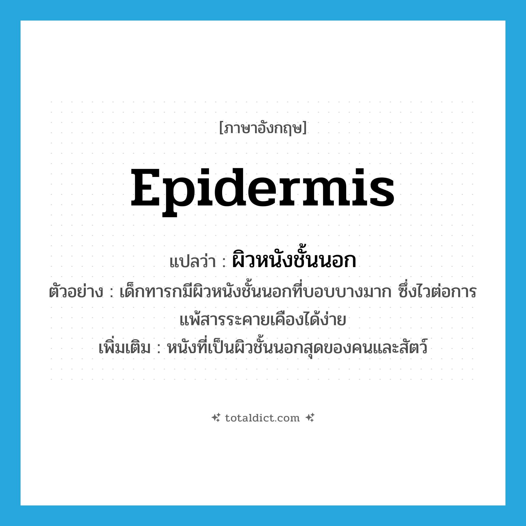 epidermis แปลว่า?, คำศัพท์ภาษาอังกฤษ epidermis แปลว่า ผิวหนังชั้นนอก ประเภท N ตัวอย่าง เด็กทารกมีผิวหนังชั้นนอกที่บอบบางมาก ซึ่งไวต่อการแพ้สารระคายเคืองได้ง่าย เพิ่มเติม หนังที่เป็นผิวชั้นนอกสุดของคนและสัตว์ หมวด N