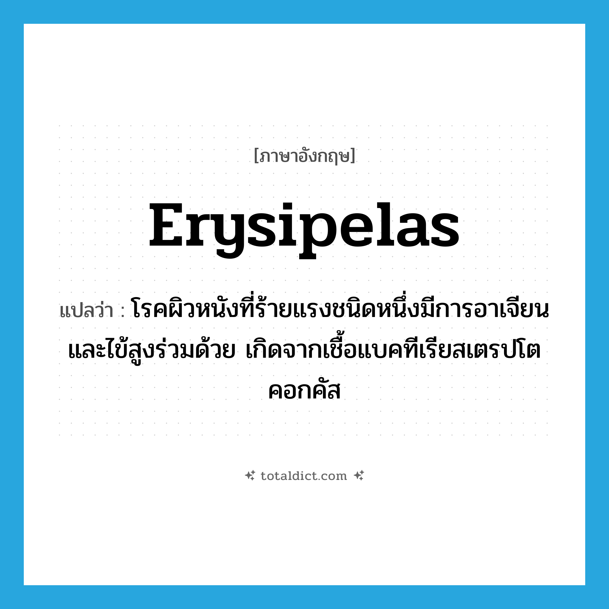 erysipelas แปลว่า?, คำศัพท์ภาษาอังกฤษ erysipelas แปลว่า โรคผิวหนังที่ร้ายแรงชนิดหนึ่งมีการอาเจียนและไข้สูงร่วมด้วย เกิดจากเชื้อแบคทีเรียสเตรปโตคอกคัส ประเภท N หมวด N