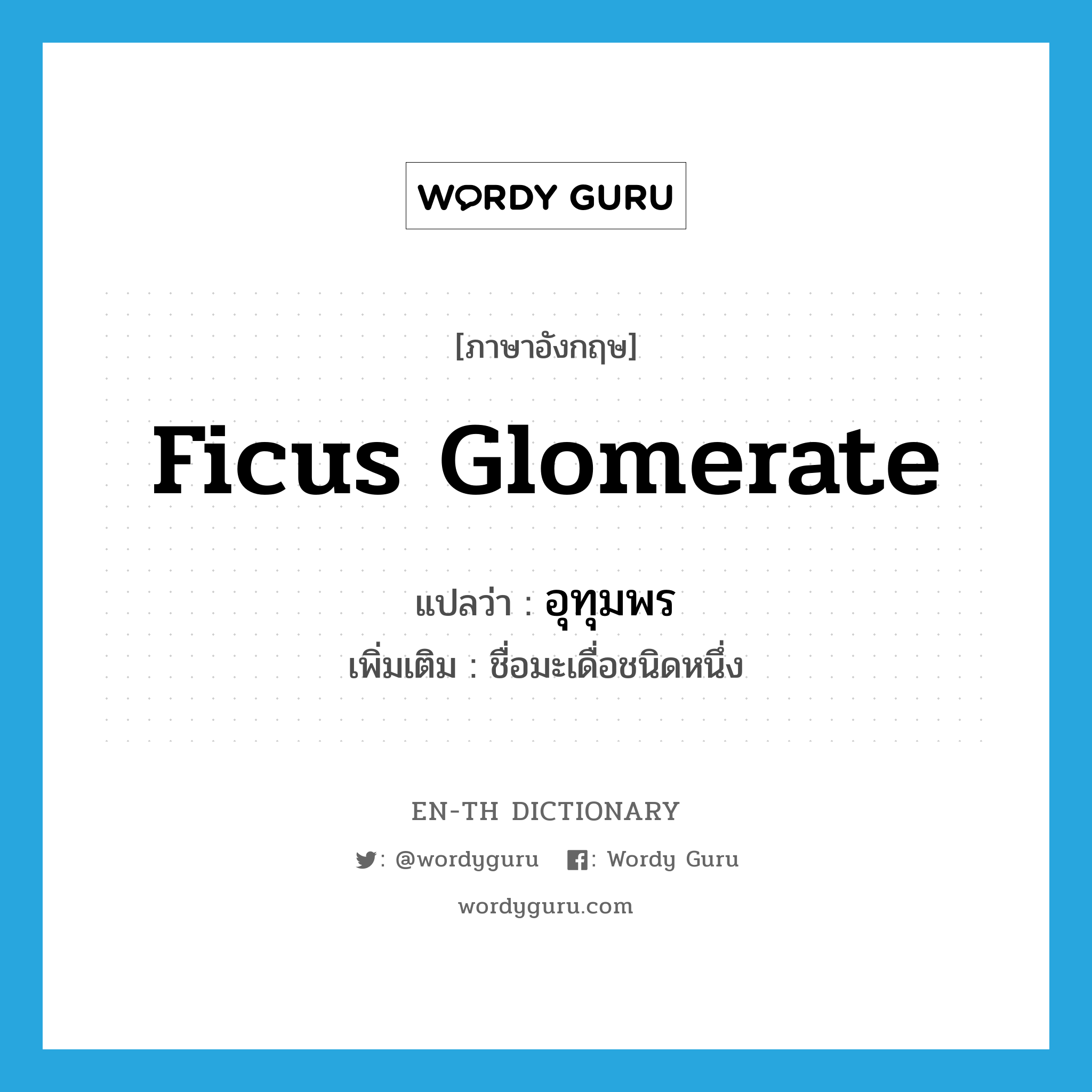 Ficus glomerate แปลว่า?, คำศัพท์ภาษาอังกฤษ Ficus glomerate แปลว่า อุทุมพร ประเภท N เพิ่มเติม ชื่อมะเดื่อชนิดหนึ่ง หมวด N