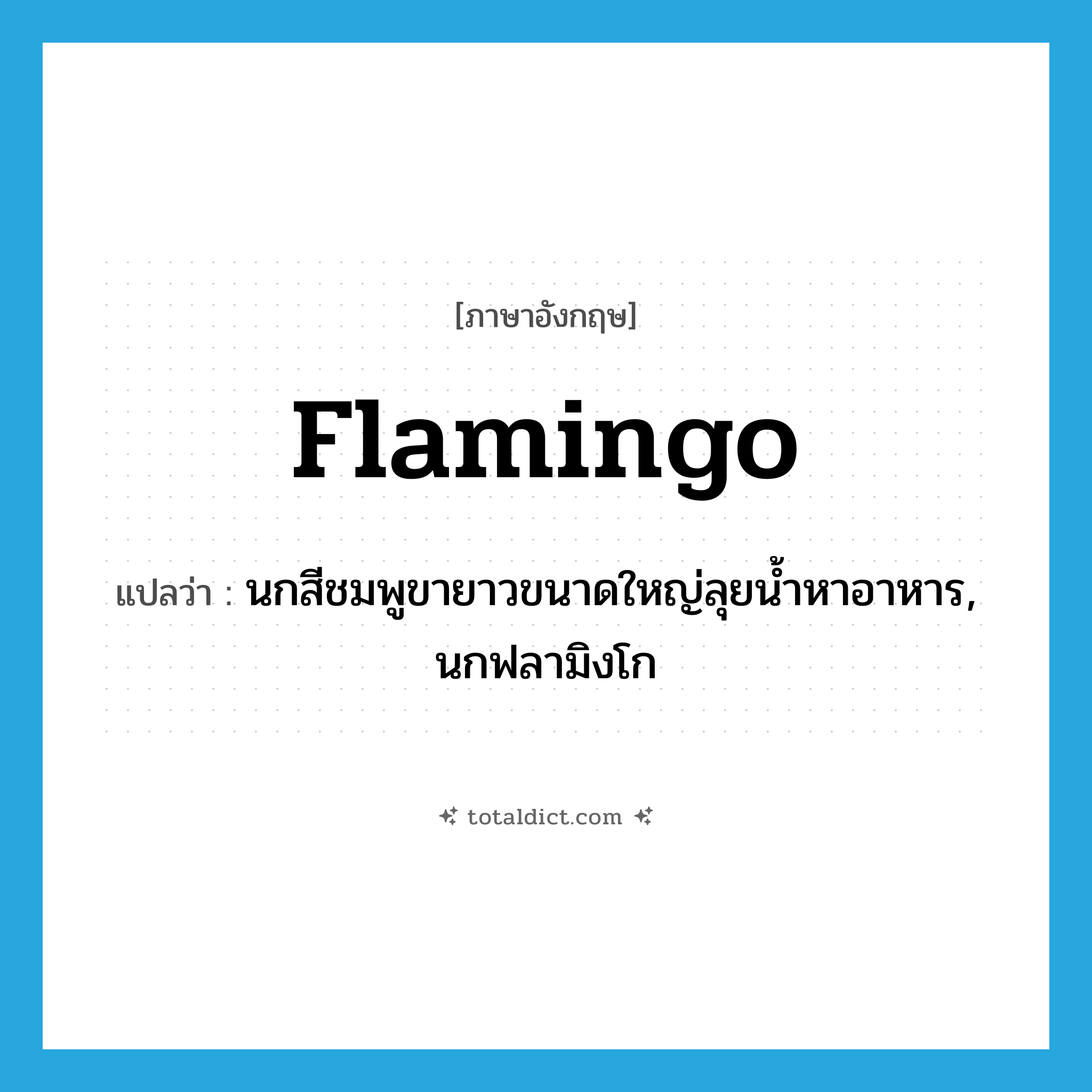 flamingo แปลว่า?, คำศัพท์ภาษาอังกฤษ flamingo แปลว่า นกสีชมพูขายาวขนาดใหญ่ลุยน้ำหาอาหาร, นกฟลามิงโก ประเภท N หมวด N