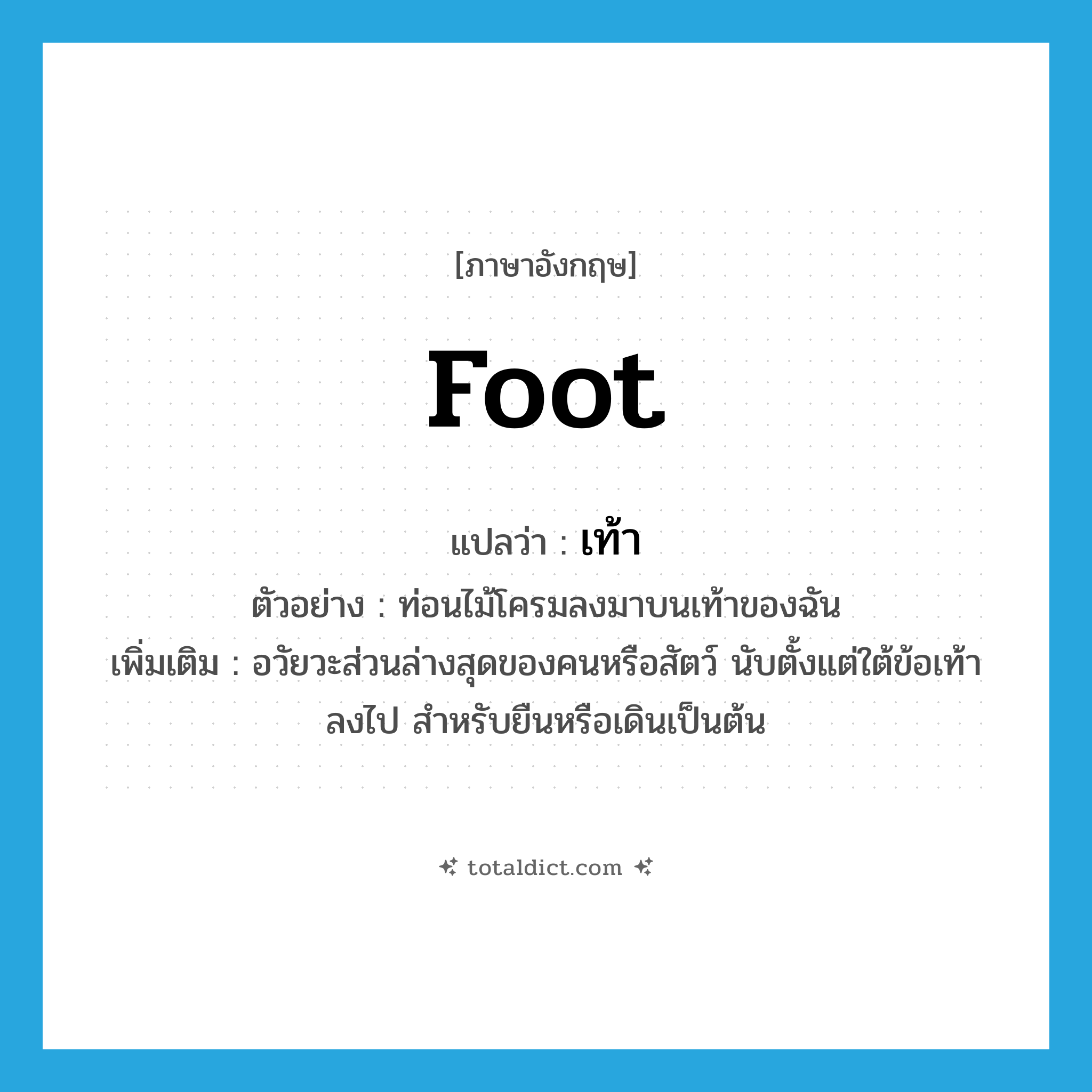 foot แปลว่า?, คำศัพท์ภาษาอังกฤษ foot แปลว่า เท้า ประเภท N ตัวอย่าง ท่อนไม้โครมลงมาบนเท้าของฉัน เพิ่มเติม อวัยวะส่วนล่างสุดของคนหรือสัตว์ นับตั้งแต่ใต้ข้อเท้าลงไป สำหรับยืนหรือเดินเป็นต้น หมวด N