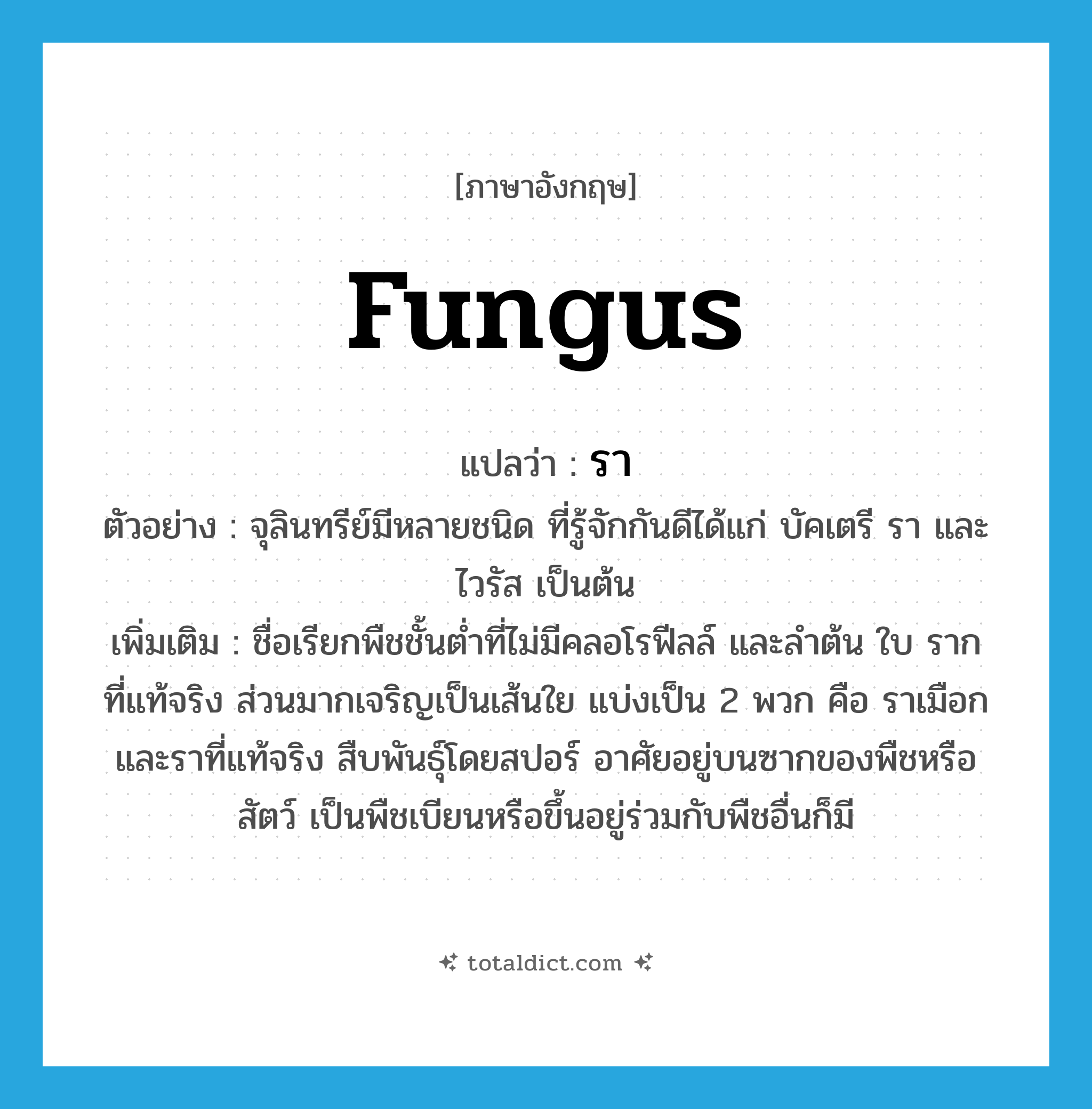 fungus แปลว่า?, คำศัพท์ภาษาอังกฤษ fungus แปลว่า รา ประเภท N ตัวอย่าง จุลินทรีย์มีหลายชนิด ที่รู้จักกันดีได้แก่ บัคเตรี รา และไวรัส เป็นต้น เพิ่มเติม ชื่อเรียกพืชชั้นต่ำที่ไม่มีคลอโรฟีลล์ และลำต้น ใบ ราก ที่แท้จริง ส่วนมากเจริญเป็นเส้นใย แบ่งเป็น 2 พวก คือ ราเมือก และราที่แท้จริง สืบพันธุ์โดยสปอร์ อาศัยอยู่บนซากของพืชหรือสัตว์ เป็นพืชเบียนหรือขึ้นอยู่ร่วมกับพืชอื่นก็มี หมวด N