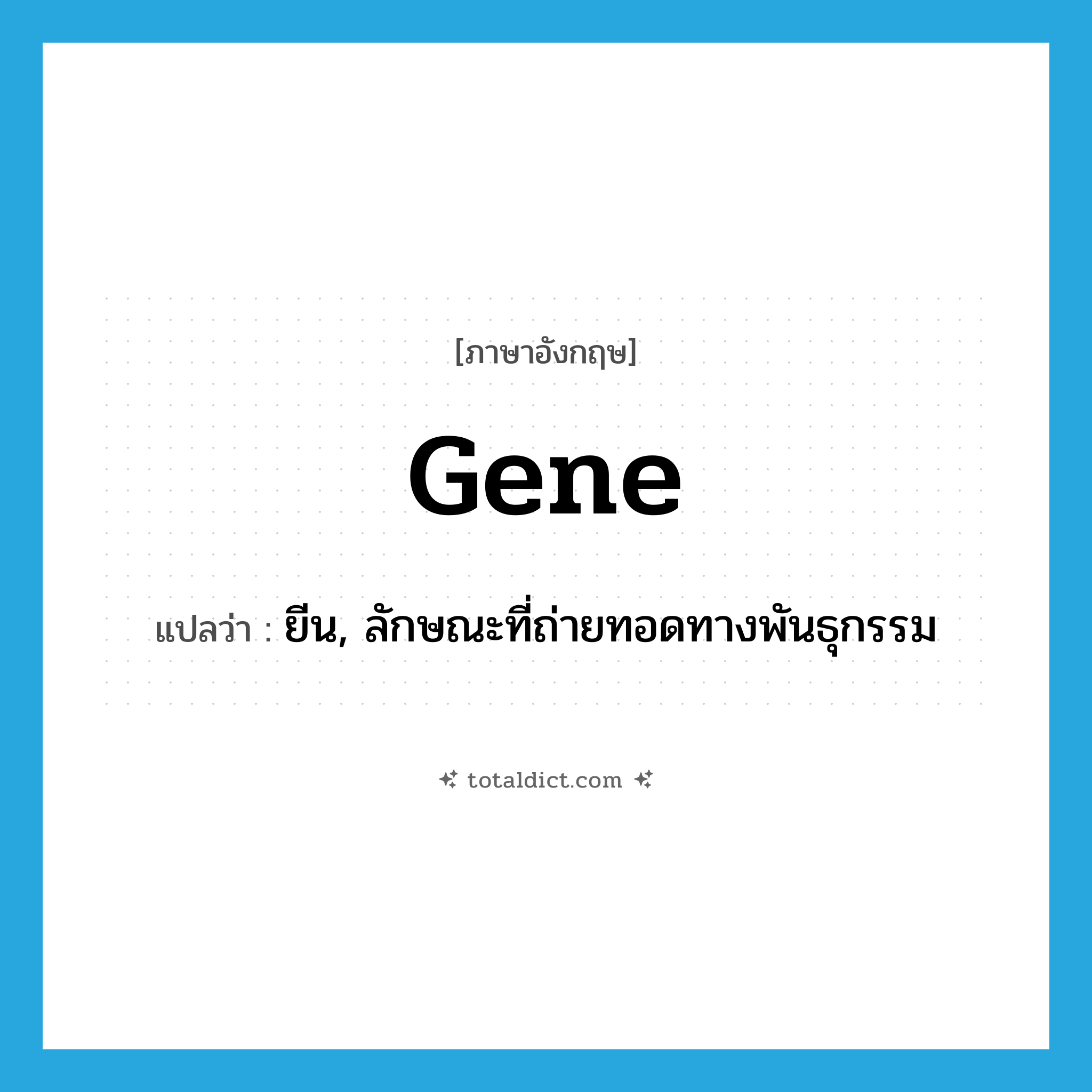 gene แปลว่า?, คำศัพท์ภาษาอังกฤษ gene แปลว่า ยีน, ลักษณะที่ถ่ายทอดทางพันธุกรรม ประเภท N หมวด N