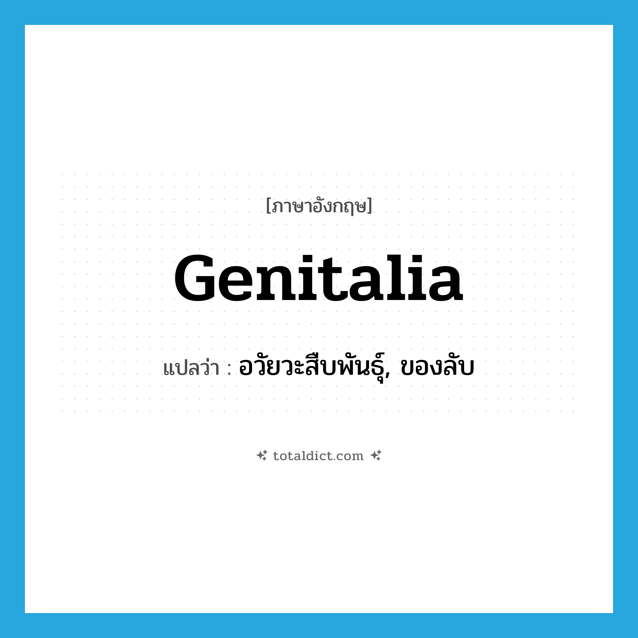 genitalia แปลว่า?, คำศัพท์ภาษาอังกฤษ genitalia แปลว่า อวัยวะสืบพันธุ์, ของลับ ประเภท N หมวด N