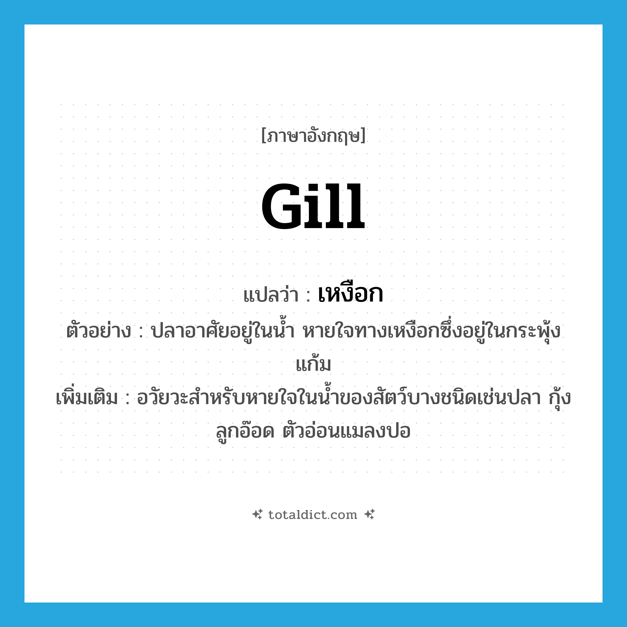 gill แปลว่า?, คำศัพท์ภาษาอังกฤษ gill แปลว่า เหงือก ประเภท N ตัวอย่าง ปลาอาศัยอยู่ในน้ำ หายใจทางเหงือกซึ่งอยู่ในกระพุ้งแก้ม เพิ่มเติม อวัยวะสำหรับหายใจในน้ำของสัตว์บางชนิดเช่นปลา กุ้ง ลูกอ๊อด ตัวอ่อนแมลงปอ หมวด N