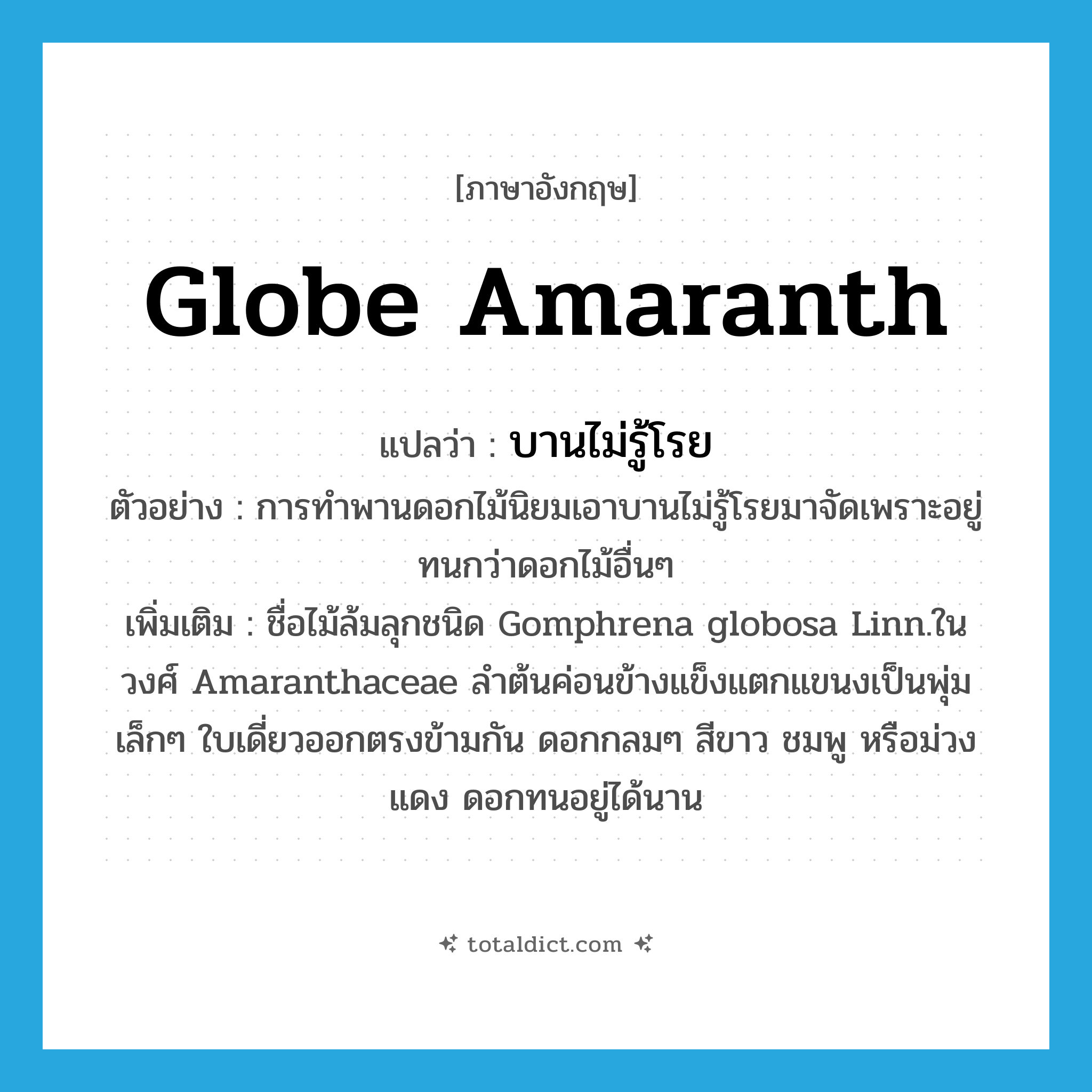 Globe amaranth แปลว่า?, คำศัพท์ภาษาอังกฤษ Globe amaranth แปลว่า บานไม่รู้โรย ประเภท N ตัวอย่าง การทำพานดอกไม้นิยมเอาบานไม่รู้โรยมาจัดเพราะอยู่ทนกว่าดอกไม้อื่นๆ เพิ่มเติม ชื่อไม้ล้มลุกชนิด Gomphrena globosa Linn.ในวงศ์ Amaranthaceae ลำต้นค่อนข้างแข็งแตกแขนงเป็นพุ่มเล็กๆ ใบเดี่ยวออกตรงข้ามกัน ดอกกลมๆ สีขาว ชมพู หรือม่วงแดง ดอกทนอยู่ได้นาน หมวด N