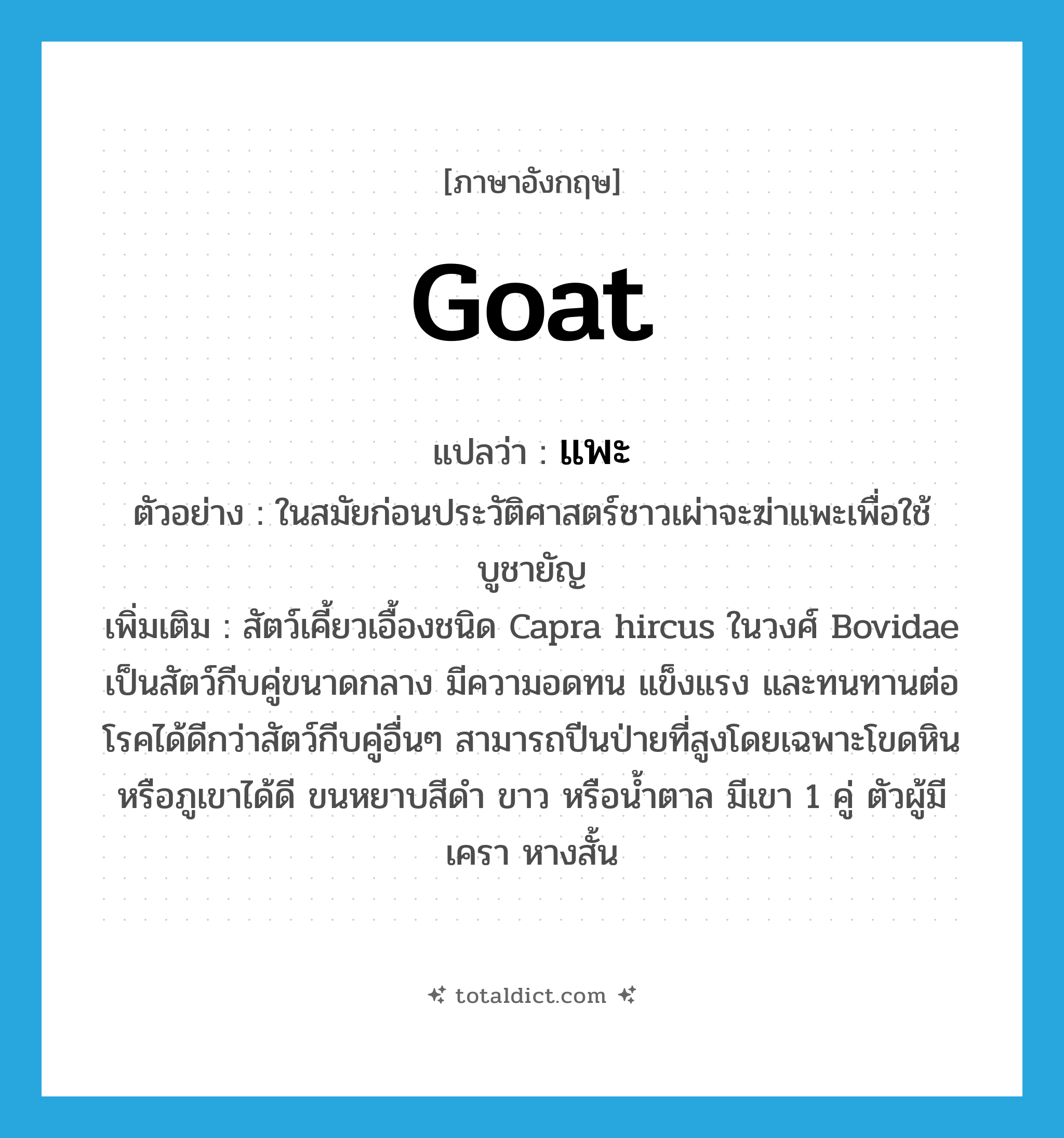 goat แปลว่า?, คำศัพท์ภาษาอังกฤษ goat แปลว่า แพะ ประเภท N ตัวอย่าง ในสมัยก่อนประวัติศาสตร์ชาวเผ่าจะฆ่าแพะเพื่อใช้บูชายัญ เพิ่มเติม สัตว์เคี้ยวเอื้องชนิด Capra hircus ในวงศ์ Bovidae เป็นสัตว์กีบคู่ขนาดกลาง มีความอดทน แข็งแรง และทนทานต่อโรคได้ดีกว่าสัตว์กีบคู่อื่นๆ สามารถปีนป่ายที่สูงโดยเฉพาะโขดหินหรือภูเขาได้ดี ขนหยาบสีดำ ขาว หรือน้ำตาล มีเขา 1 คู่ ตัวผู้มีเครา หางสั้น หมวด N