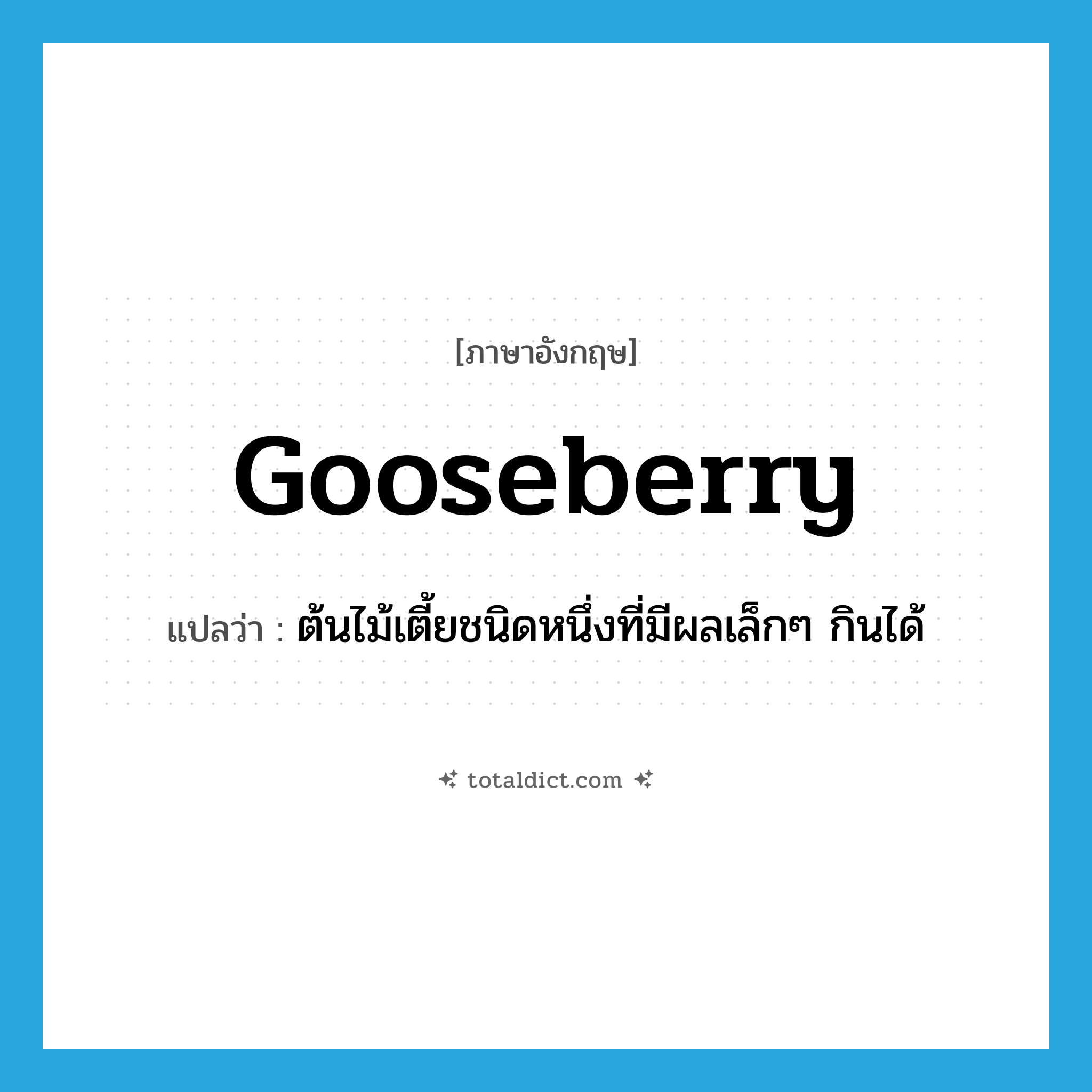 gooseberry แปลว่า?, คำศัพท์ภาษาอังกฤษ gooseberry แปลว่า ต้นไม้เตี้ยชนิดหนึ่งที่มีผลเล็กๆ กินได้ ประเภท N หมวด N