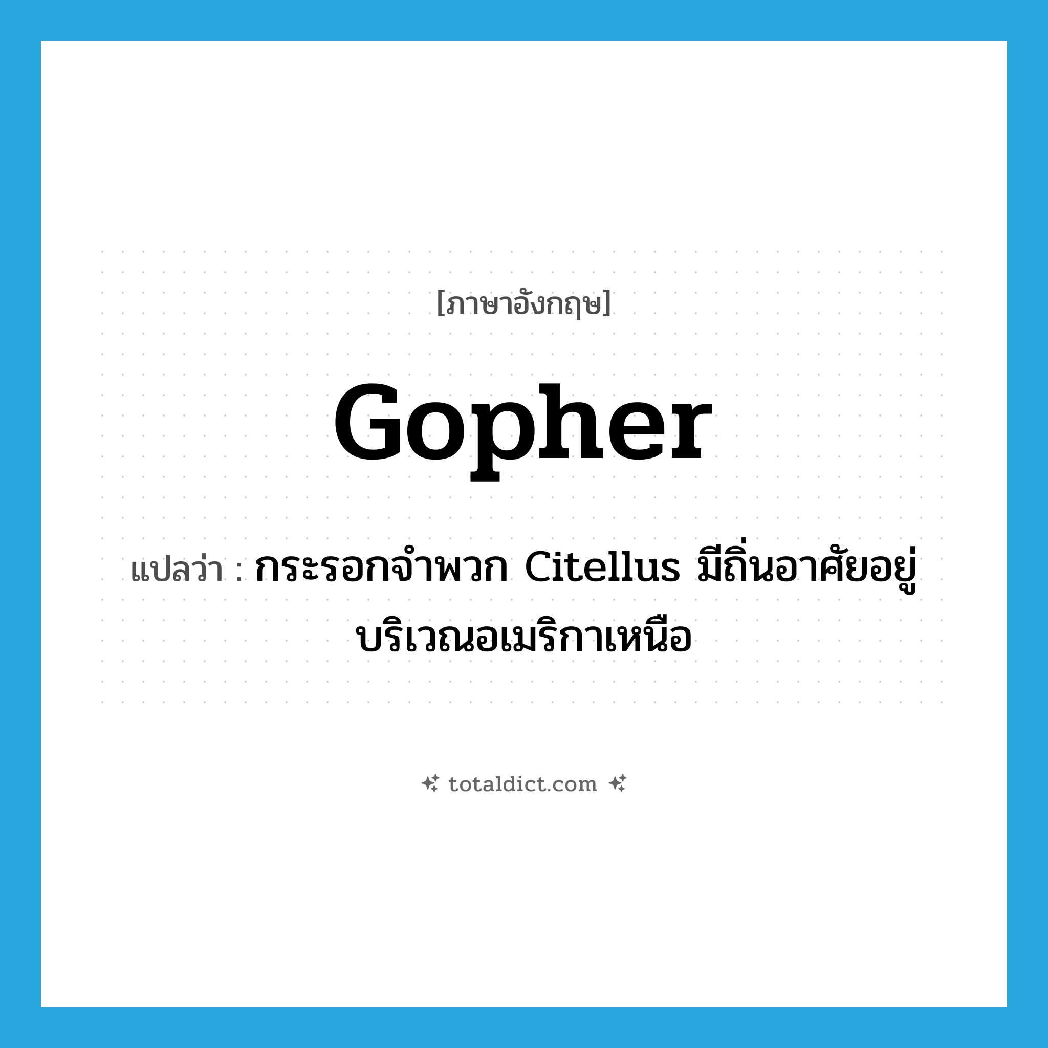 Gopher แปลว่า?, คำศัพท์ภาษาอังกฤษ gopher แปลว่า กระรอกจำพวก Citellus มีถิ่นอาศัยอยู่บริเวณอเมริกาเหนือ ประเภท N หมวด N