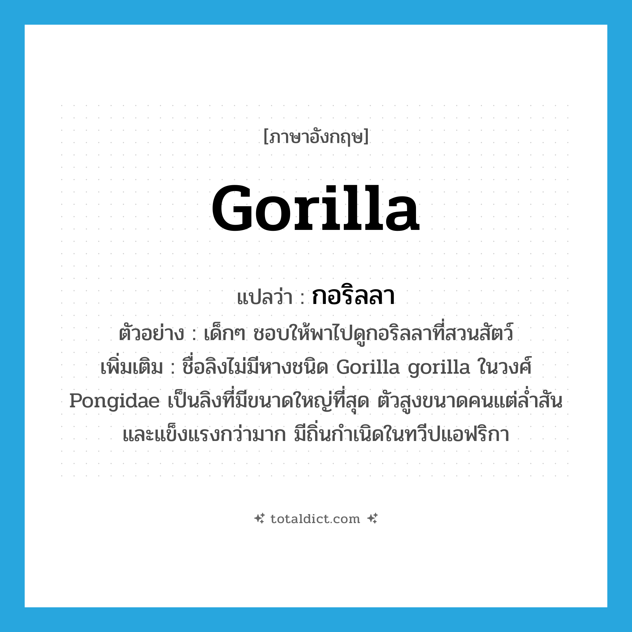 gorilla แปลว่า?, คำศัพท์ภาษาอังกฤษ gorilla แปลว่า กอริลลา ประเภท N ตัวอย่าง เด็กๆ ชอบให้พาไปดูกอริลลาที่สวนสัตว์ เพิ่มเติม ชื่อลิงไม่มีหางชนิด Gorilla gorilla ในวงศ์ Pongidae เป็นลิงที่มีขนาดใหญ่ที่สุด ตัวสูงขนาดคนแต่ล่ำสันและแข็งแรงกว่ามาก มีถิ่นกำเนิดในทวีปแอฟริกา หมวด N