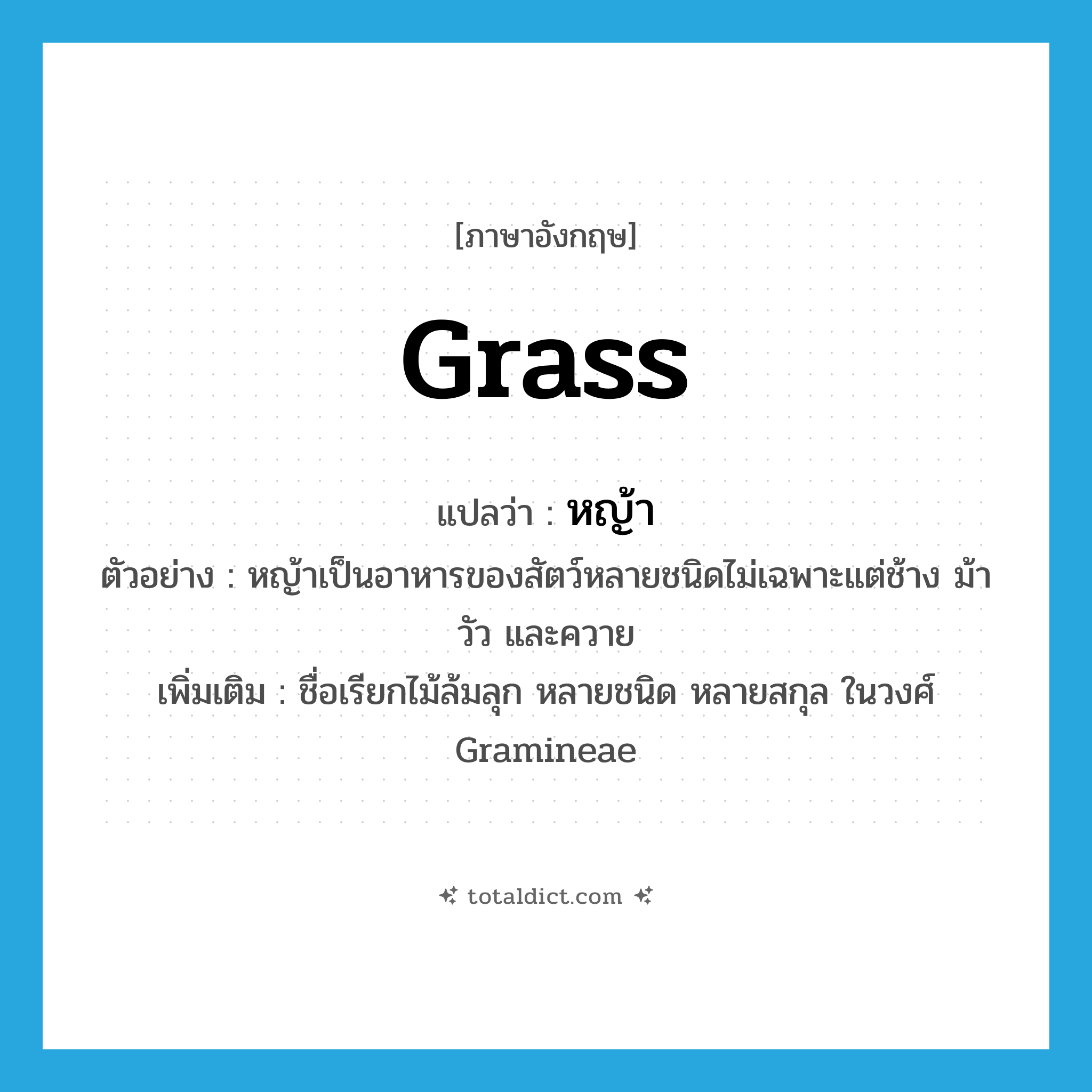 grass แปลว่า?, คำศัพท์ภาษาอังกฤษ grass แปลว่า หญ้า ประเภท N ตัวอย่าง หญ้าเป็นอาหารของสัตว์หลายชนิดไม่เฉพาะแต่ช้าง ม้า วัว และควาย เพิ่มเติม ชื่อเรียกไม้ล้มลุก หลายชนิด หลายสกุล ในวงศ์ Gramineae หมวด N