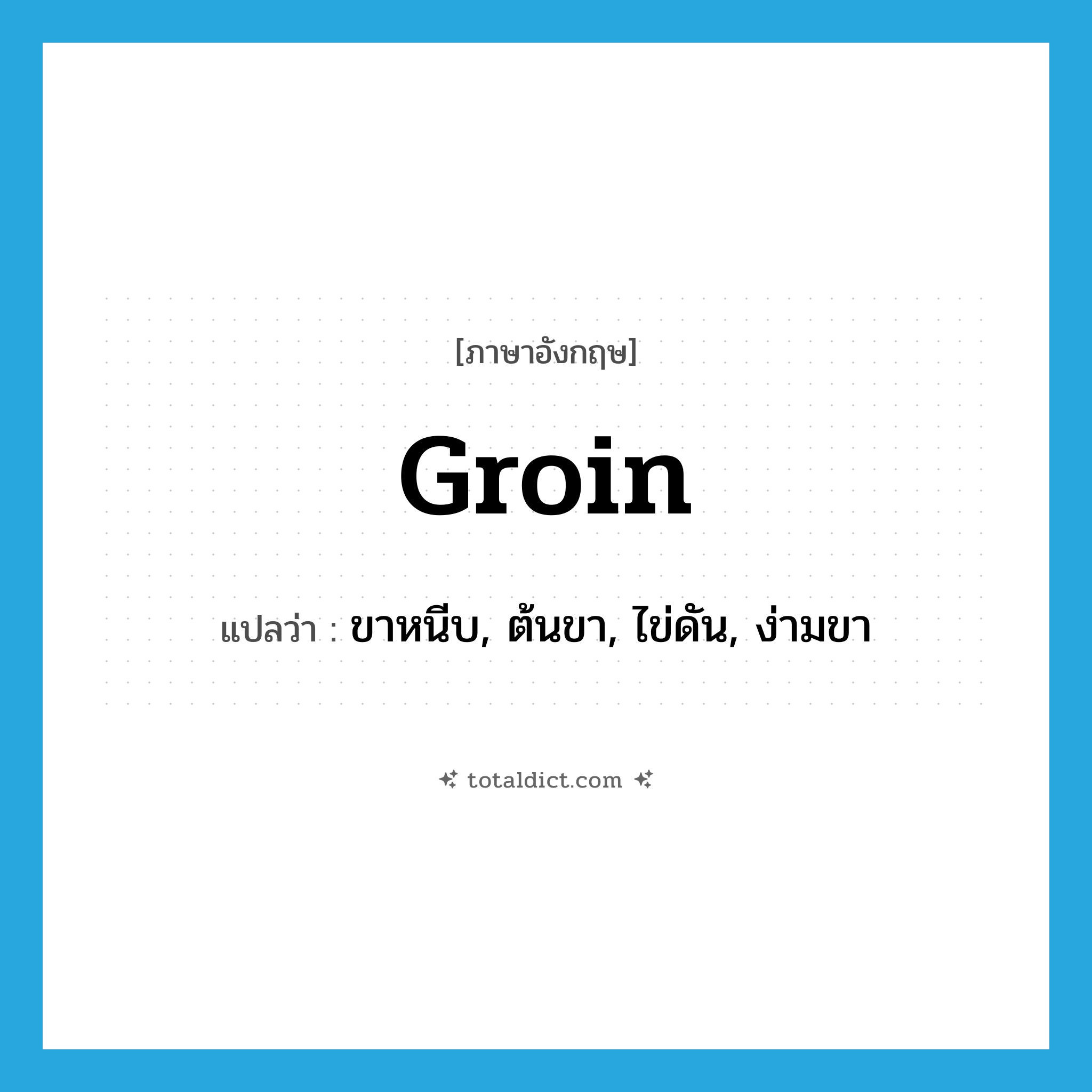 groin แปลว่า?, คำศัพท์ภาษาอังกฤษ groin แปลว่า ขาหนีบ, ต้นขา, ไข่ดัน, ง่ามขา ประเภท N หมวด N