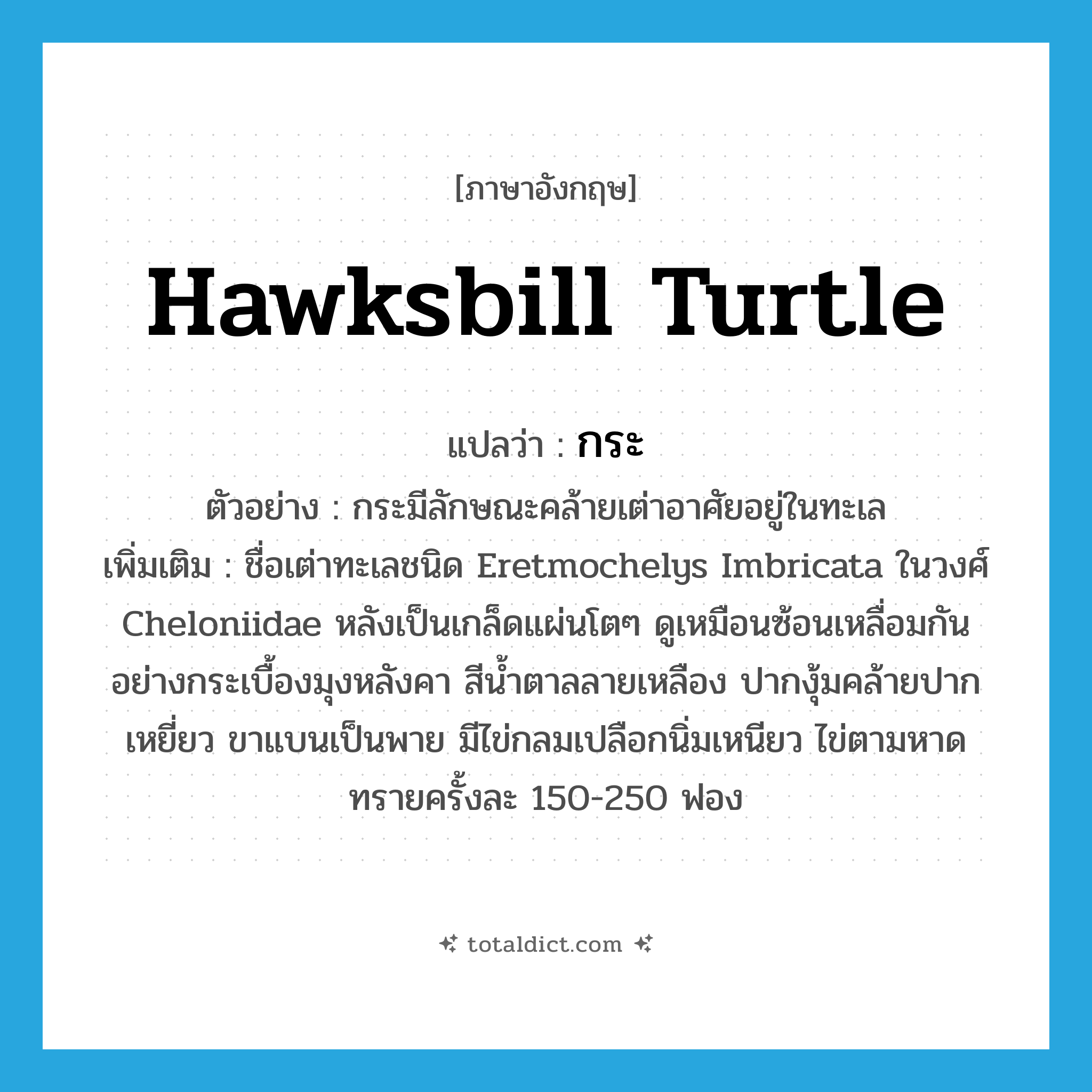 hawksbill turtle แปลว่า?, คำศัพท์ภาษาอังกฤษ hawksbill turtle แปลว่า กระ ประเภท N ตัวอย่าง กระมีลักษณะคล้ายเต่าอาศัยอยู่ในทะเล เพิ่มเติม ชื่อเต่าทะเลชนิด Eretmochelys Imbricata ในวงศ์ Cheloniidae หลังเป็นเกล็ดแผ่นโตๆ ดูเหมือนซ้อนเหลื่อมกันอย่างกระเบื้องมุงหลังคา สีน้ำตาลลายเหลือง ปากงุ้มคล้ายปากเหยี่ยว ขาแบนเป็นพาย มีไข่กลมเปลือกนิ่มเหนียว ไข่ตามหาดทรายครั้งละ 150-250 ฟอง หมวด N