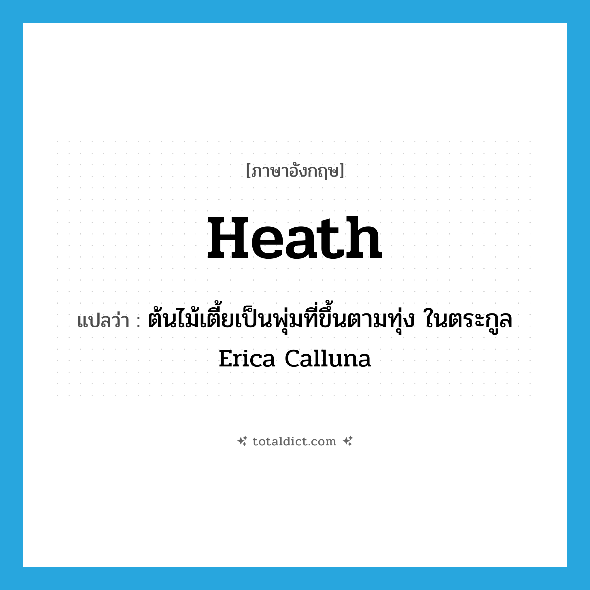 heath แปลว่า?, คำศัพท์ภาษาอังกฤษ heath แปลว่า ต้นไม้เตี้ยเป็นพุ่มที่ขึ้นตามทุ่ง ในตระกูล Erica Calluna ประเภท N หมวด N