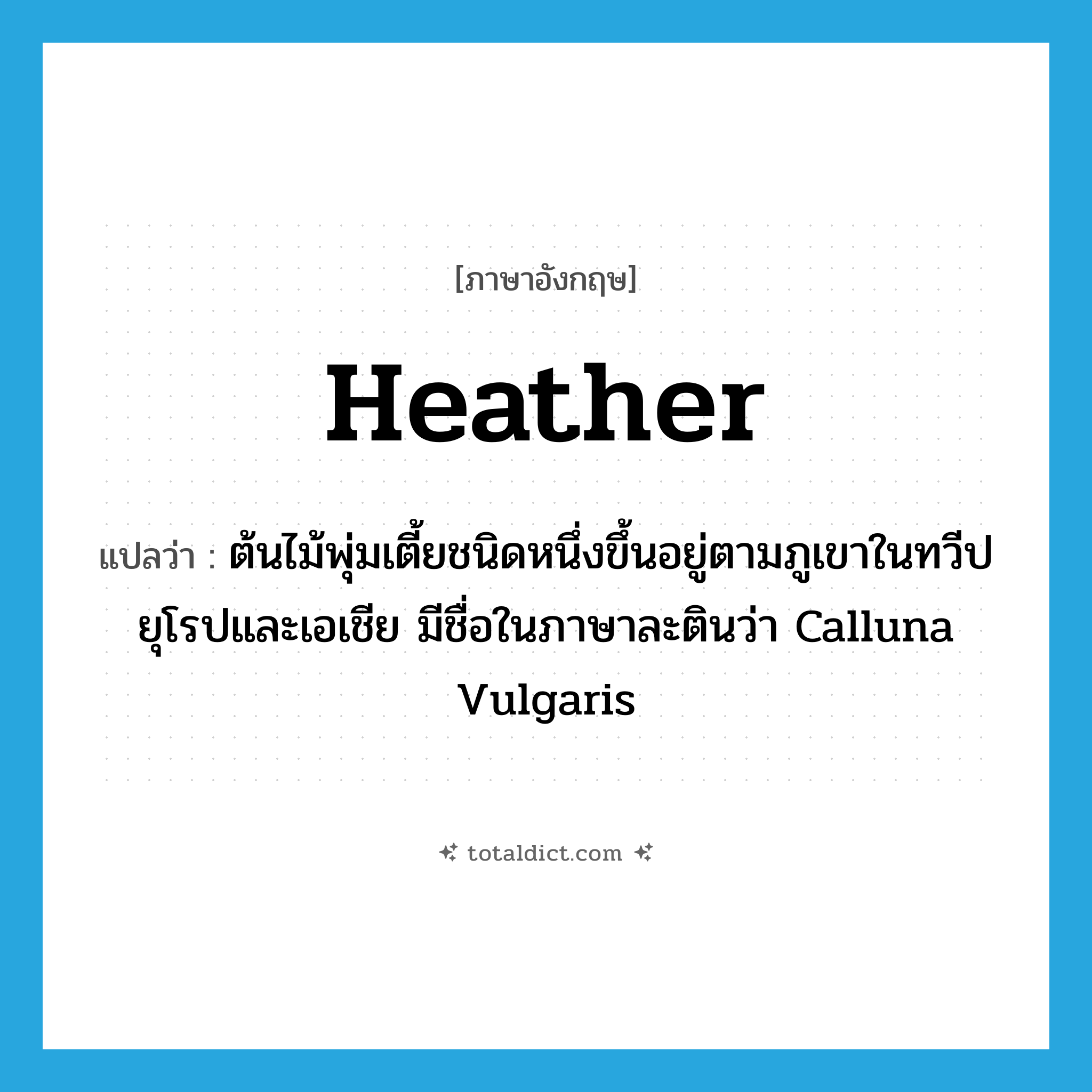 heather แปลว่า?, คำศัพท์ภาษาอังกฤษ heather แปลว่า ต้นไม้พุ่มเตี้ยชนิดหนึ่งขึ้นอยู่ตามภูเขาในทวีปยุโรปและเอเชีย มีชื่อในภาษาละตินว่า Calluna Vulgaris ประเภท N หมวด N