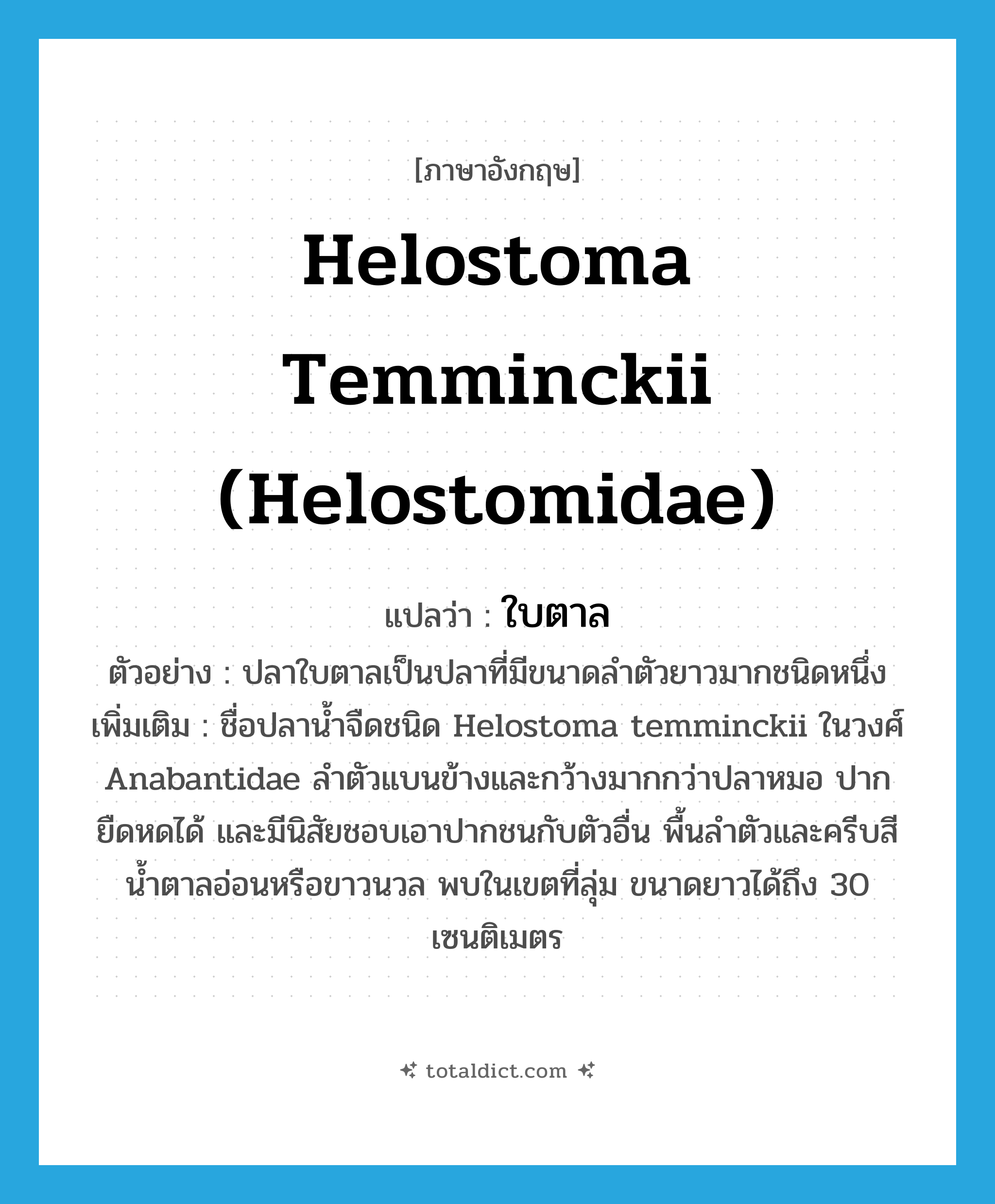 Helostoma temminckii (Helostomidae) แปลว่า?, คำศัพท์ภาษาอังกฤษ Helostoma temminckii (Helostomidae) แปลว่า ใบตาล ประเภท N ตัวอย่าง ปลาใบตาลเป็นปลาที่มีขนาดลำตัวยาวมากชนิดหนึ่ง เพิ่มเติม ชื่อปลาน้ำจืดชนิด Helostoma temminckii ในวงศ์ Anabantidae ลำตัวแบนข้างและกว้างมากกว่าปลาหมอ ปากยืดหดได้ และมีนิสัยชอบเอาปากชนกับตัวอื่น พื้นลำตัวและครีบสีน้ำตาลอ่อนหรือขาวนวล พบในเขตที่ลุ่ม ขนาดยาวได้ถึง 30 เซนติเมตร หมวด N