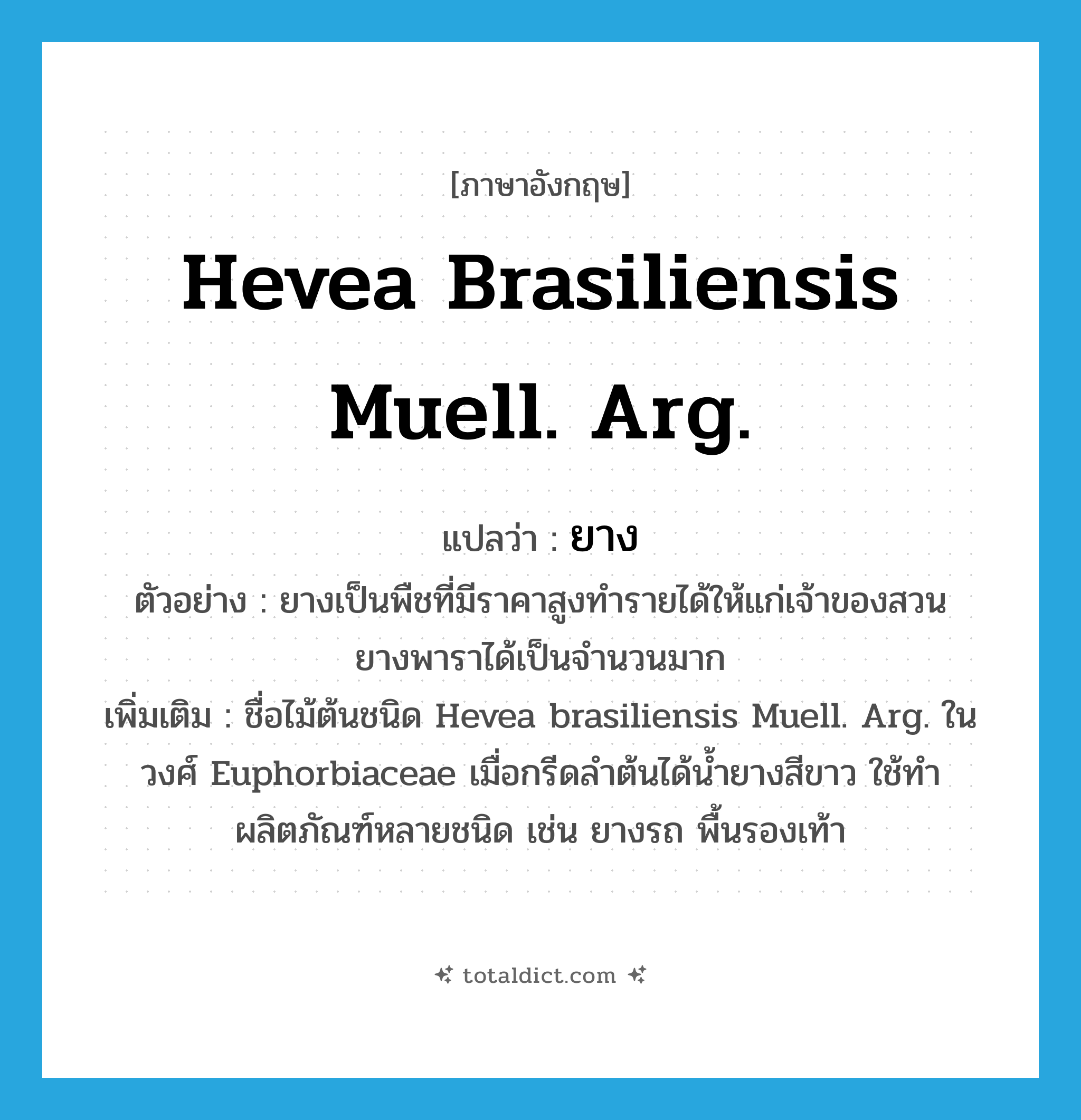 Hevea brasiliensis Muell. Arg. แปลว่า?, คำศัพท์ภาษาอังกฤษ Hevea brasiliensis Muell. Arg. แปลว่า ยาง ประเภท N ตัวอย่าง ยางเป็นพืชที่มีราคาสูงทำรายได้ให้แก่เจ้าของสวนยางพาราได้เป็นจำนวนมาก เพิ่มเติม ชื่อไม้ต้นชนิด Hevea brasiliensis Muell. Arg. ในวงศ์ Euphorbiaceae เมื่อกรีดลำต้นได้น้ำยางสีขาว ใช้ทำผลิตภัณฑ์หลายชนิด เช่น ยางรถ พื้นรองเท้า หมวด N