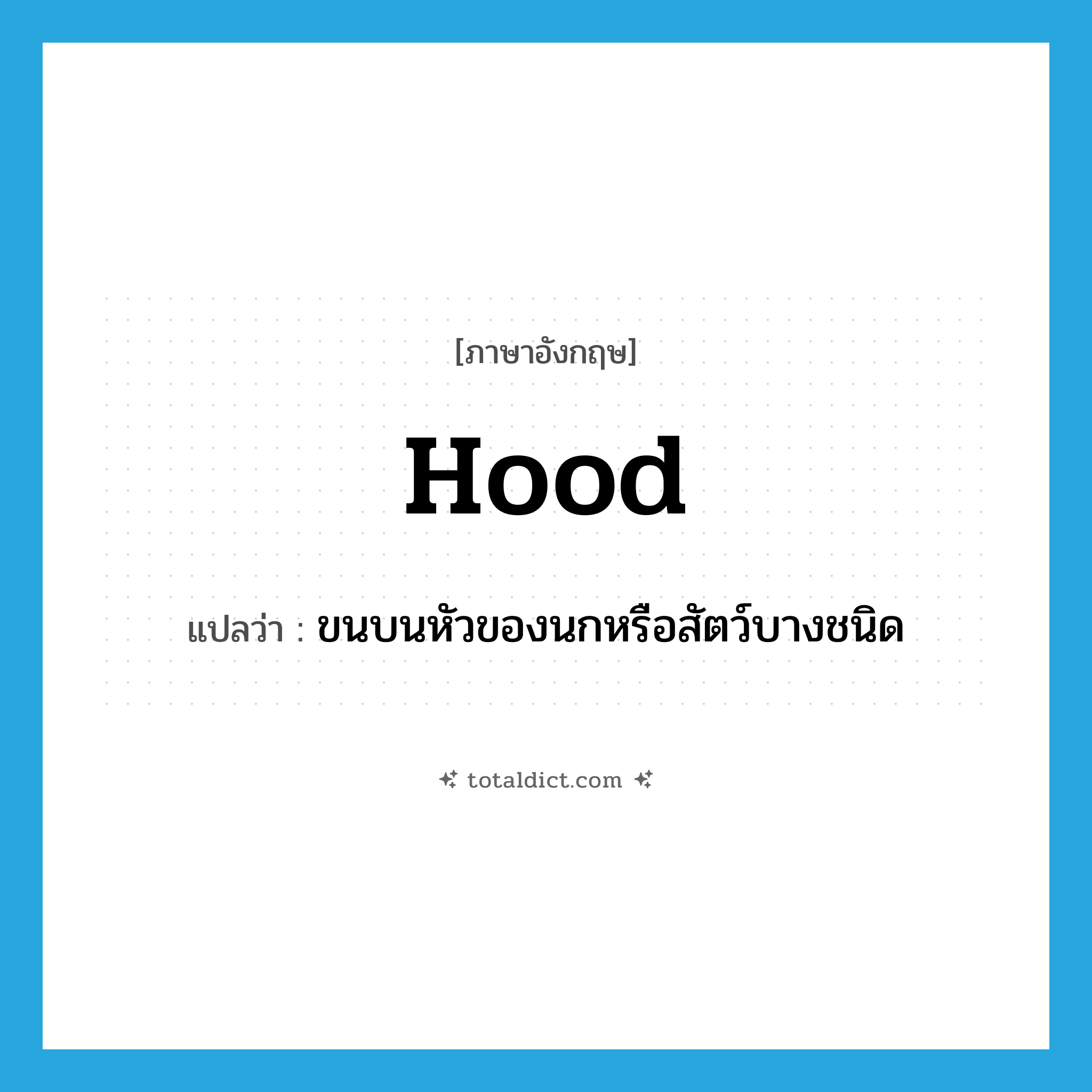 hood แปลว่า?, คำศัพท์ภาษาอังกฤษ hood แปลว่า ขนบนหัวของนกหรือสัตว์บางชนิด ประเภท N หมวด N