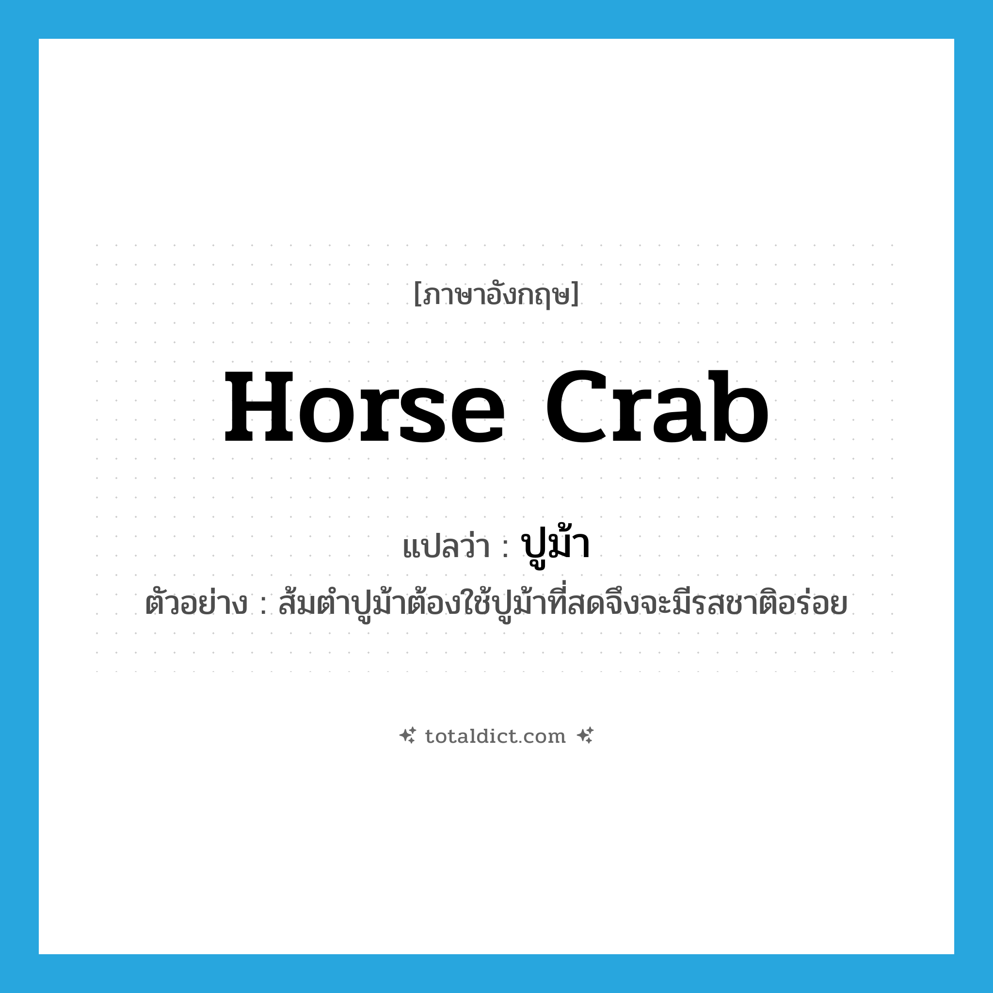 horse crab แปลว่า?, คำศัพท์ภาษาอังกฤษ horse crab แปลว่า ปูม้า ประเภท N ตัวอย่าง ส้มตำปูม้าต้องใช้ปูม้าที่สดจึงจะมีรสชาติอร่อย หมวด N