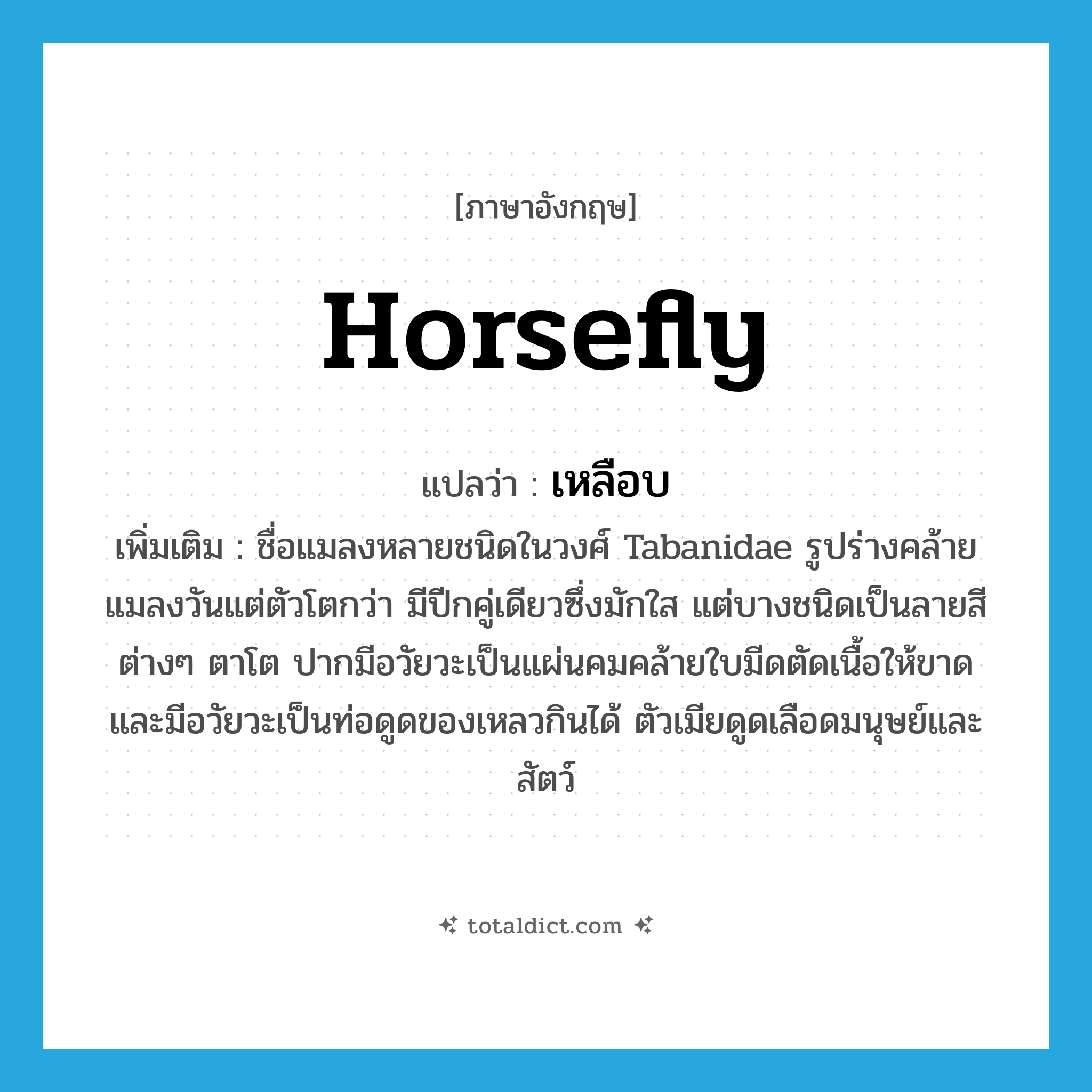 horsefly แปลว่า?, คำศัพท์ภาษาอังกฤษ horsefly แปลว่า เหลือบ ประเภท N เพิ่มเติม ชื่อแมลงหลายชนิดในวงศ์ Tabanidae รูปร่างคล้ายแมลงวันแต่ตัวโตกว่า มีปีกคู่เดียวซึ่งมักใส แต่บางชนิดเป็นลายสีต่างๆ ตาโต ปากมีอวัยวะเป็นแผ่นคมคล้ายใบมีดตัดเนื้อให้ขาด และมีอวัยวะเป็นท่อดูดของเหลวกินได้ ตัวเมียดูดเลือดมนุษย์และสัตว์ หมวด N