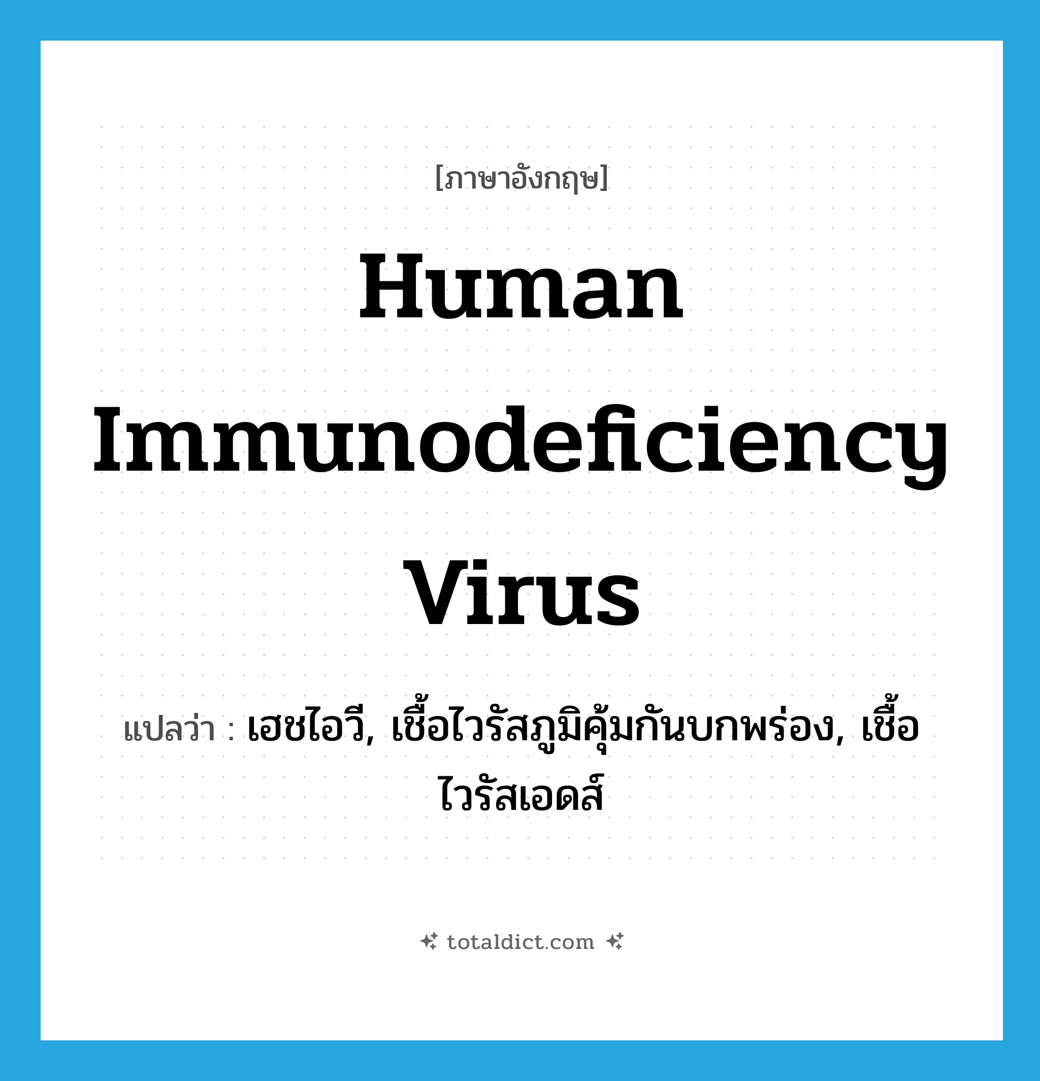 human immunodeficiency virus แปลว่า?, คำศัพท์ภาษาอังกฤษ human immunodeficiency virus แปลว่า เฮชไอวี, เชื้อไวรัสภูมิคุ้มกันบกพร่อง, เชื้อไวรัสเอดส์ ประเภท N หมวด N