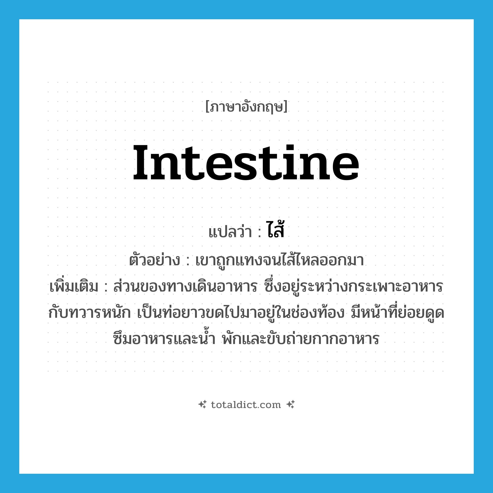 intestine แปลว่า?, คำศัพท์ภาษาอังกฤษ intestine แปลว่า ไส้ ประเภท N ตัวอย่าง เขาถูกแทงจนไส้ไหลออกมา เพิ่มเติม ส่วนของทางเดินอาหาร ซึ่งอยู่ระหว่างกระเพาะอาหารกับทวารหนัก เป็นท่อยาวขดไปมาอยู่ในช่องท้อง มีหน้าที่ย่อยดูดซึมอาหารและน้ำ พักและขับถ่ายกากอาหาร หมวด N