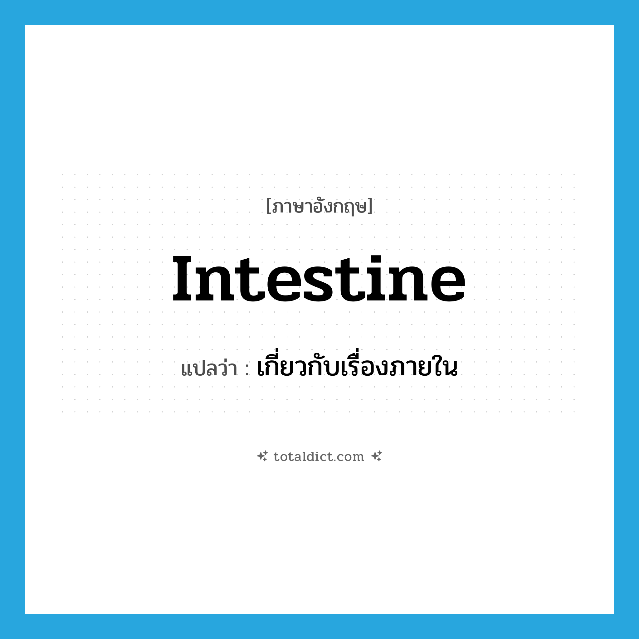 intestine แปลว่า?, คำศัพท์ภาษาอังกฤษ intestine แปลว่า เกี่ยวกับเรื่องภายใน ประเภท ADJ หมวด ADJ