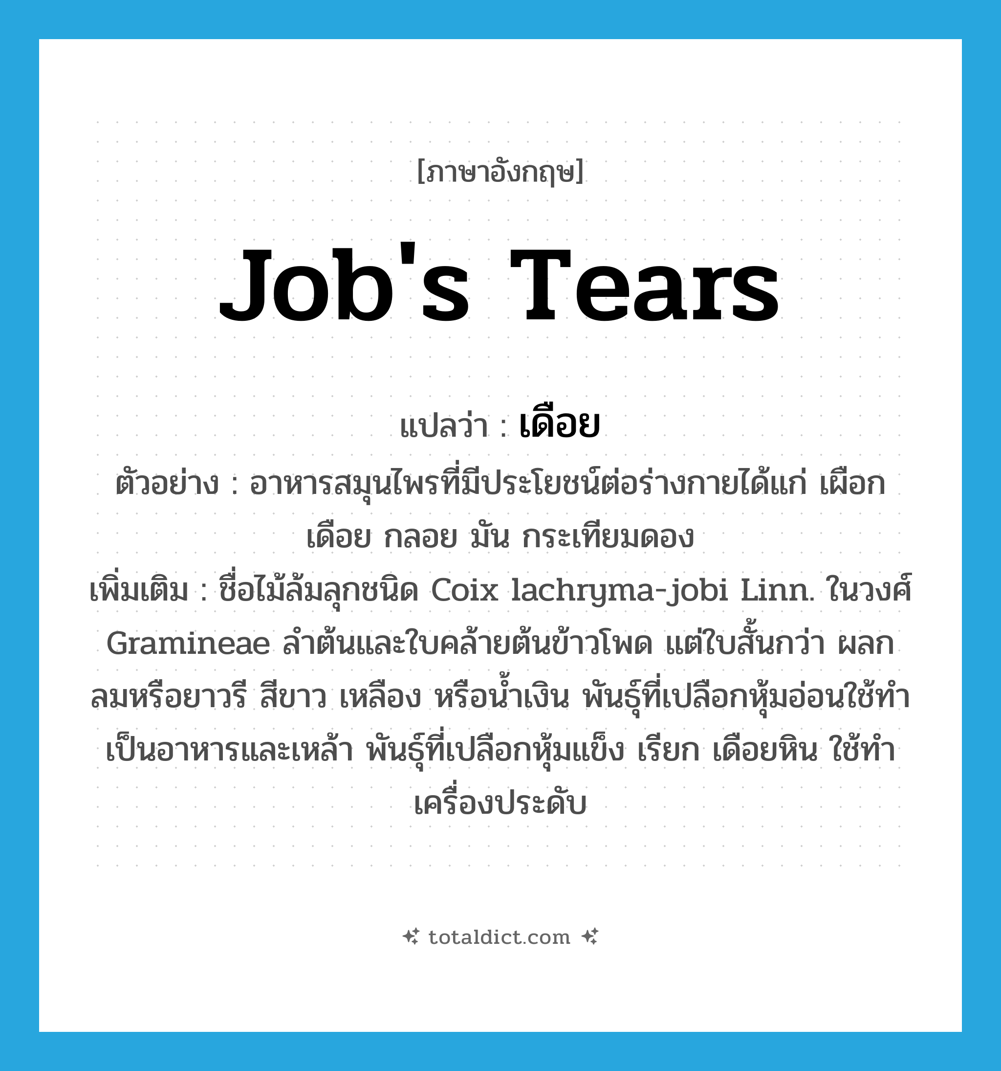 Job&#39;s tears แปลว่า?, คำศัพท์ภาษาอังกฤษ Job&#39;s tears แปลว่า เดือย ประเภท N ตัวอย่าง อาหารสมุนไพรที่มีประโยชน์ต่อร่างกายได้แก่ เผือก เดือย กลอย มัน กระเทียมดอง เพิ่มเติม ชื่อไม้ล้มลุกชนิด Coix lachryma-jobi Linn. ในวงศ์ Gramineae ลำต้นและใบคล้ายต้นข้าวโพด แต่ใบสั้นกว่า ผลกลมหรือยาวรี สีขาว เหลือง หรือน้ำเงิน พันธุ์ที่เปลือกหุ้มอ่อนใช้ทำเป็นอาหารและเหล้า พันธุ์ที่เปลือกหุ้มแข็ง เรียก เดือยหิน ใช้ทำเครื่องประดับ หมวด N