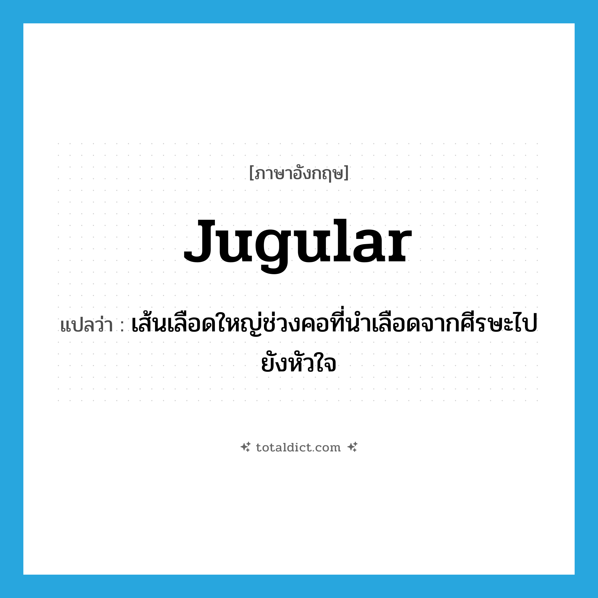 jugular แปลว่า?, คำศัพท์ภาษาอังกฤษ jugular แปลว่า เส้นเลือดใหญ่ช่วงคอที่นำเลือดจากศีรษะไปยังหัวใจ ประเภท N หมวด N