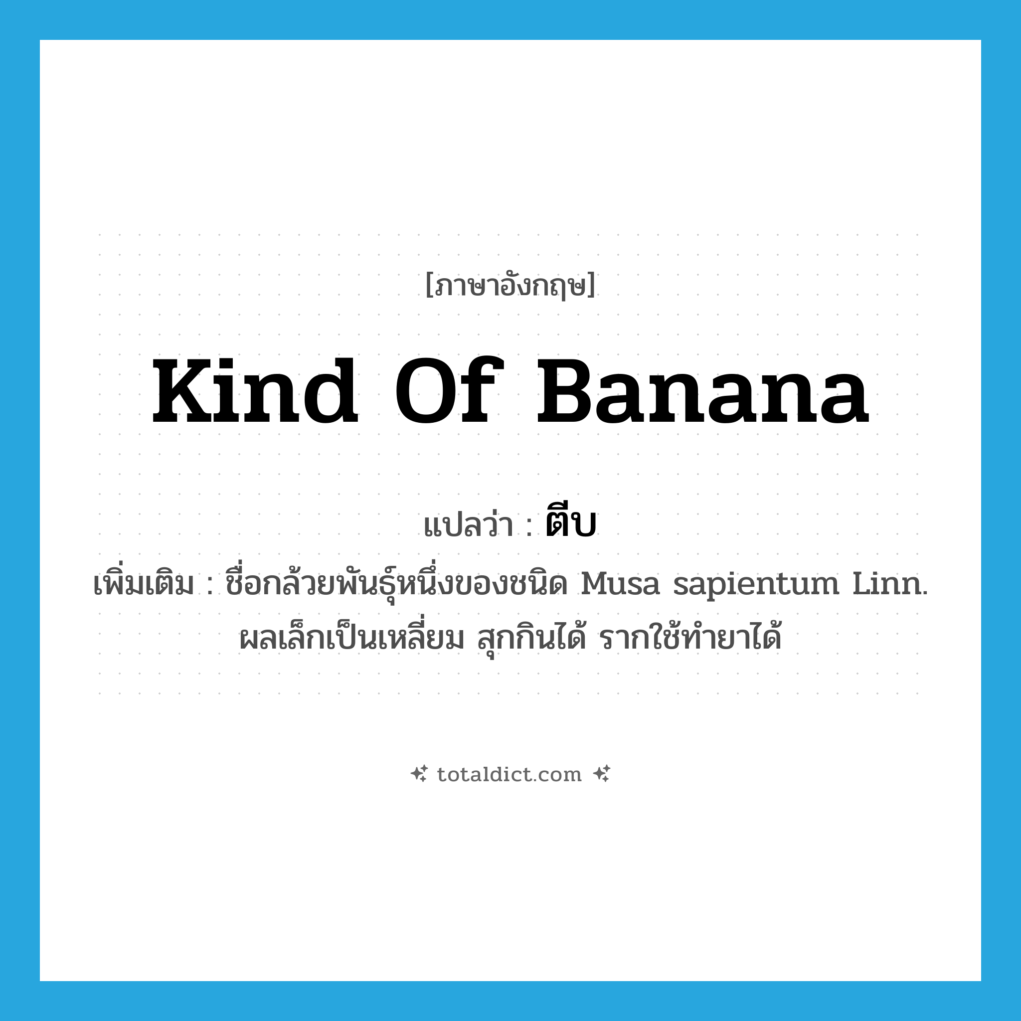 kind of banana แปลว่า?, คำศัพท์ภาษาอังกฤษ kind of banana แปลว่า ตีบ ประเภท N เพิ่มเติม ชื่อกล้วยพันธุ์หนึ่งของชนิด Musa sapientum Linn. ผลเล็กเป็นเหลี่ยม สุกกินได้ รากใช้ทำยาได้ หมวด N