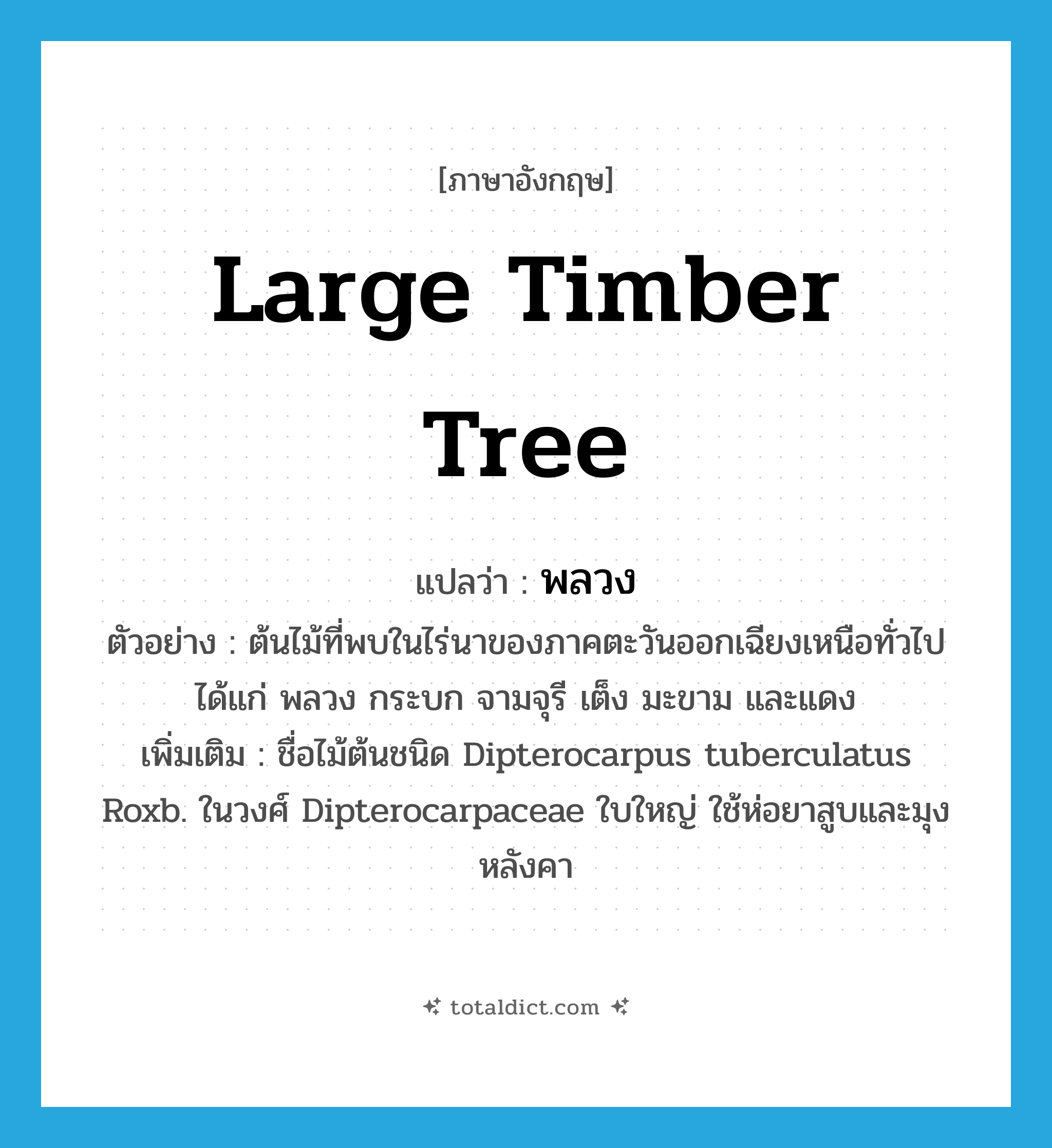 large timber tree แปลว่า?, คำศัพท์ภาษาอังกฤษ large timber tree แปลว่า พลวง ประเภท N ตัวอย่าง ต้นไม้ที่พบในไร่นาของภาคตะวันออกเฉียงเหนือทั่วไปได้แก่ พลวง กระบก จามจุรี เต็ง มะขาม และแดง เพิ่มเติม ชื่อไม้ต้นชนิด Dipterocarpus tuberculatus Roxb. ในวงศ์ Dipterocarpaceae ใบใหญ่ ใช้ห่อยาสูบและมุงหลังคา หมวด N