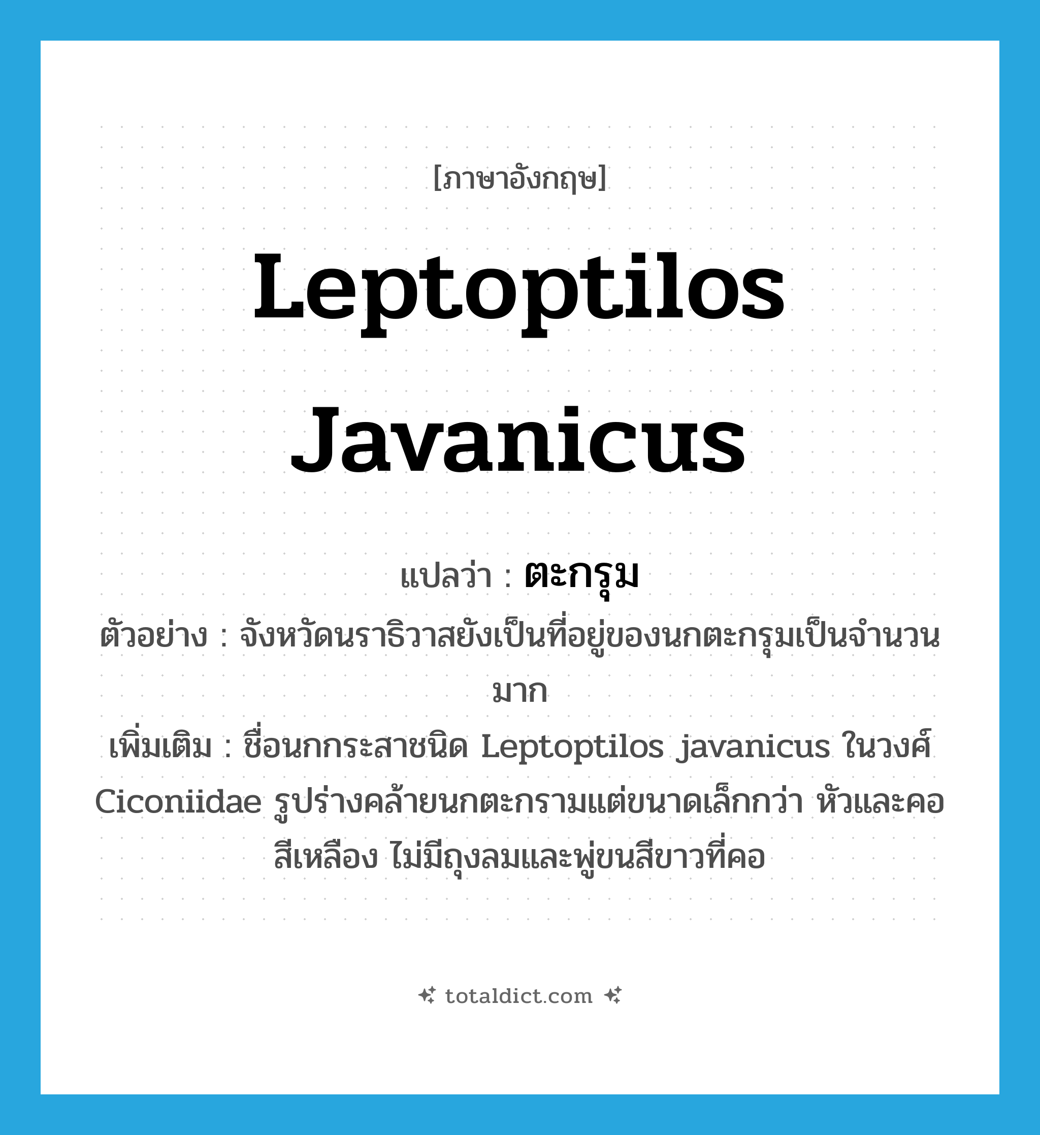 Leptoptilos javanicus แปลว่า?, คำศัพท์ภาษาอังกฤษ Leptoptilos javanicus แปลว่า ตะกรุม ประเภท N ตัวอย่าง จังหวัดนราธิวาสยังเป็นที่อยู่ของนกตะกรุมเป็นจำนวนมาก เพิ่มเติม ชื่อนกกระสาชนิด Leptoptilos javanicus ในวงศ์ Ciconiidae รูปร่างคล้ายนกตะกรามแต่ขนาดเล็กกว่า หัวและคอสีเหลือง ไม่มีถุงลมและพู่ขนสีขาวที่คอ หมวด N