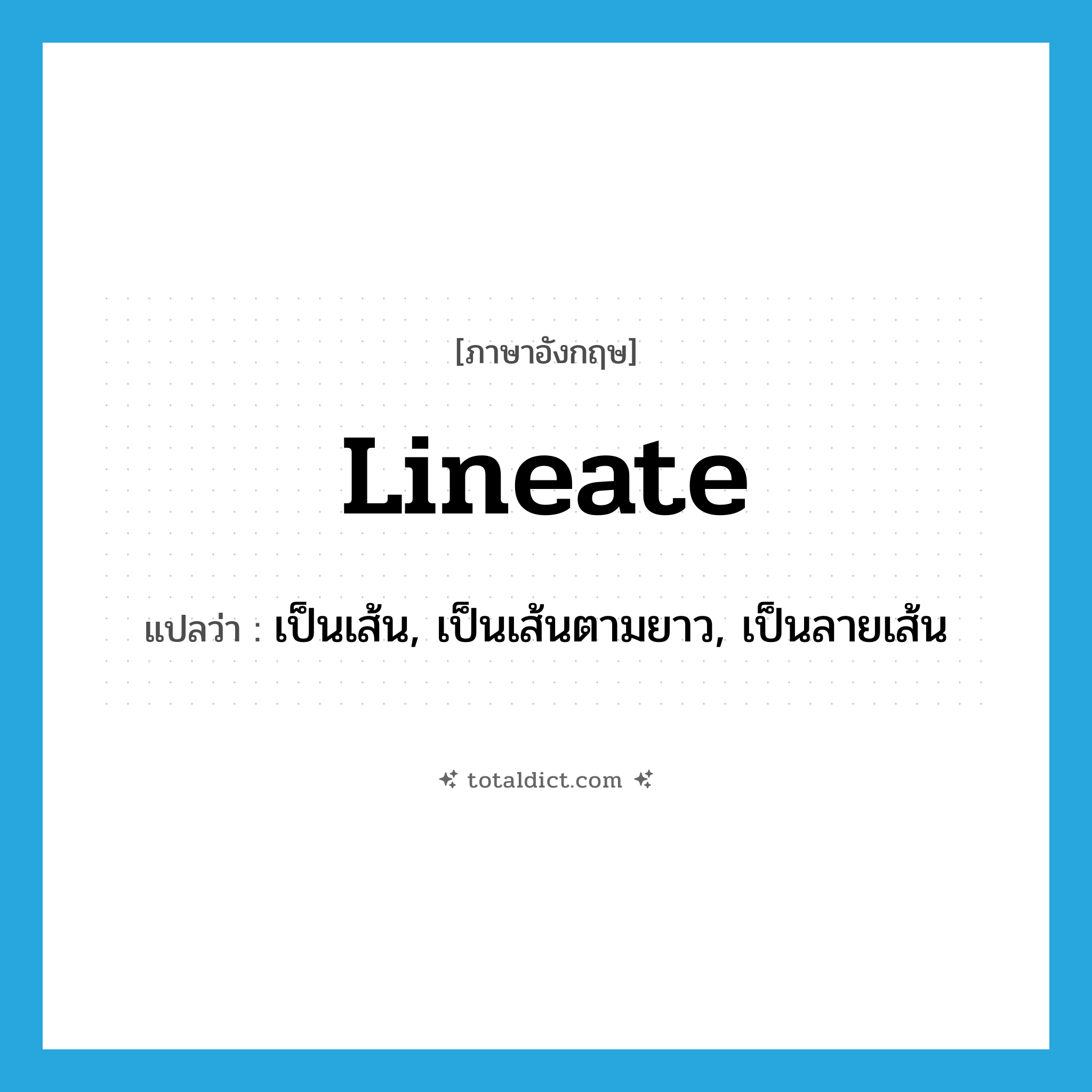 lineate แปลว่า?, คำศัพท์ภาษาอังกฤษ lineate แปลว่า เป็นเส้น, เป็นเส้นตามยาว, เป็นลายเส้น ประเภท ADJ หมวด ADJ