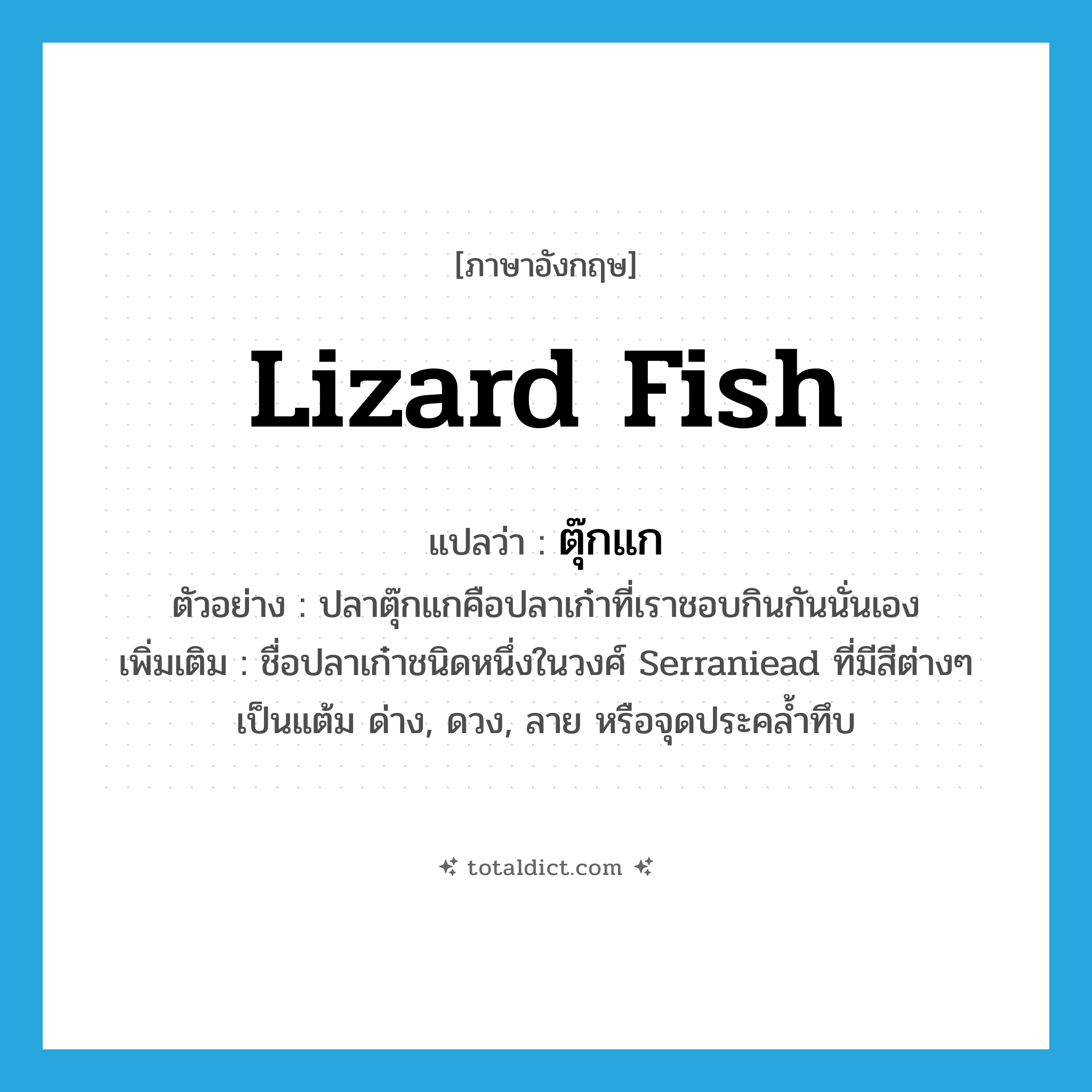 lizard fish แปลว่า?, คำศัพท์ภาษาอังกฤษ lizard fish แปลว่า ตุ๊กแก ประเภท N ตัวอย่าง ปลาตุ๊กแกคือปลาเก๋าที่เราชอบกินกันนั่นเอง เพิ่มเติม ชื่อปลาเก๋าชนิดหนึ่งในวงศ์ Serraniead ที่มีสีต่างๆ เป็นแต้ม ด่าง, ดวง, ลาย หรือจุดประคล้ำทึบ หมวด N