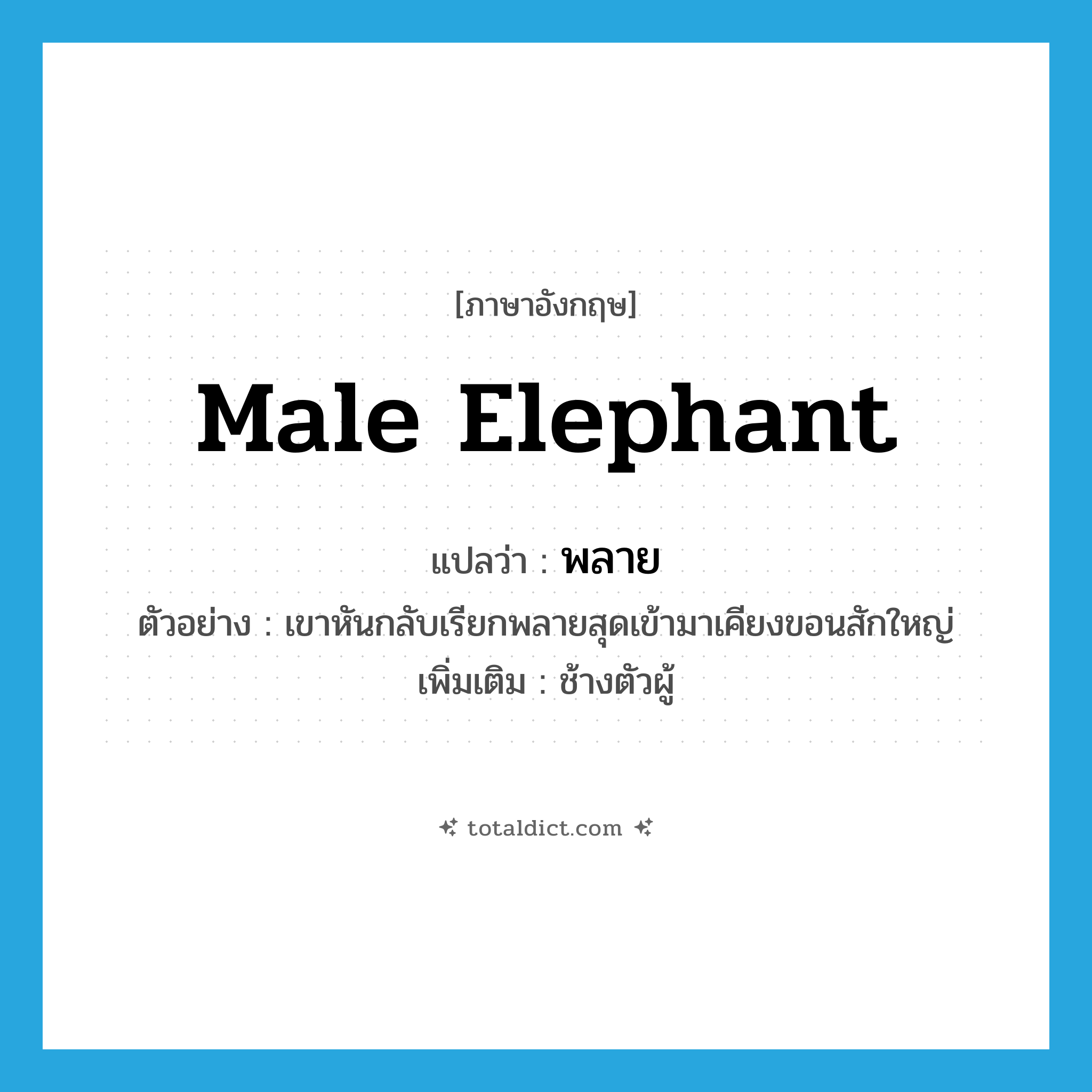 male elephant แปลว่า?, คำศัพท์ภาษาอังกฤษ male elephant แปลว่า พลาย ประเภท N ตัวอย่าง เขาหันกลับเรียกพลายสุดเข้ามาเคียงขอนสักใหญ่ เพิ่มเติม ช้างตัวผู้ หมวด N