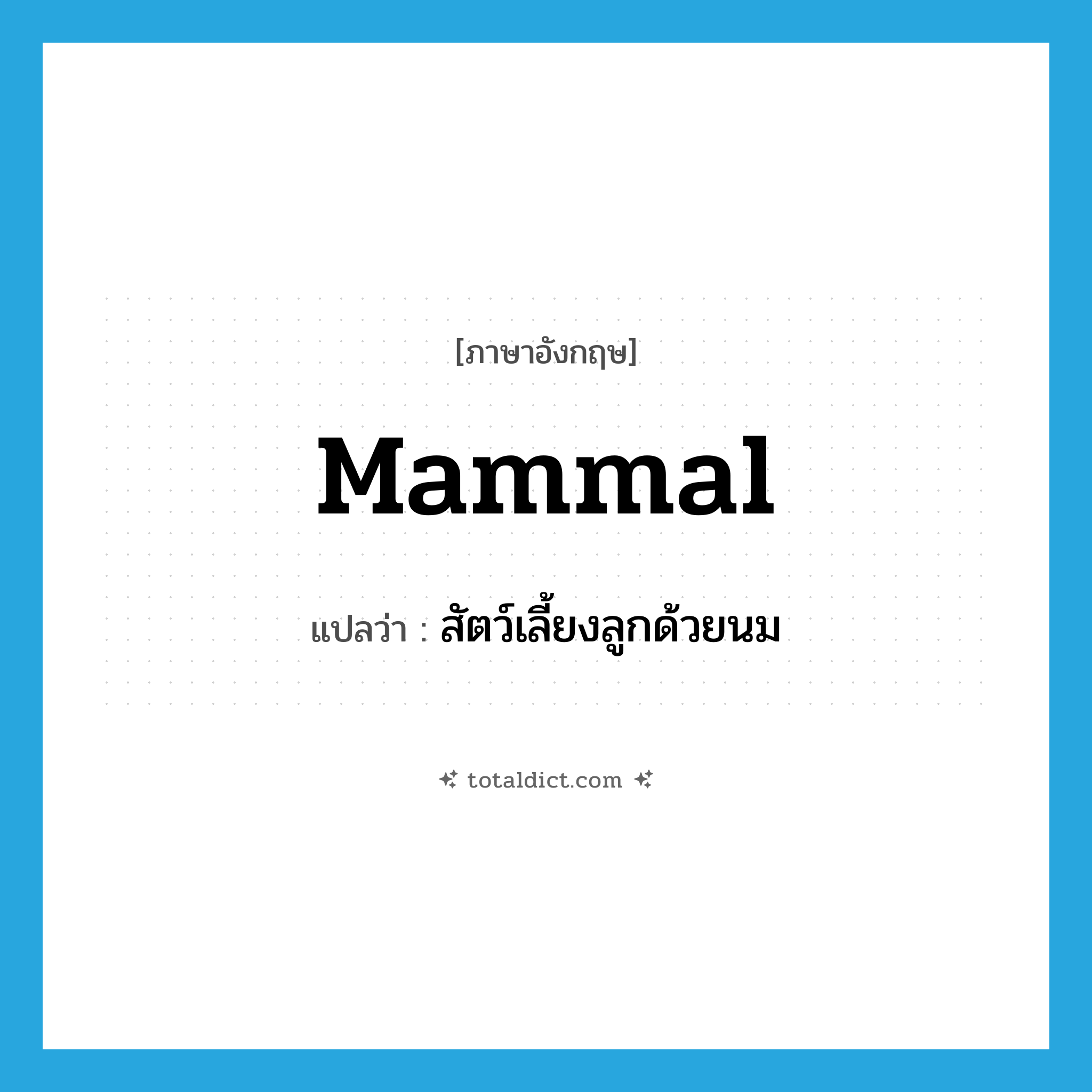 mammal แปลว่า?, คำศัพท์ภาษาอังกฤษ mammal แปลว่า สัตว์เลี้ยงลูกด้วยนม ประเภท N หมวด N