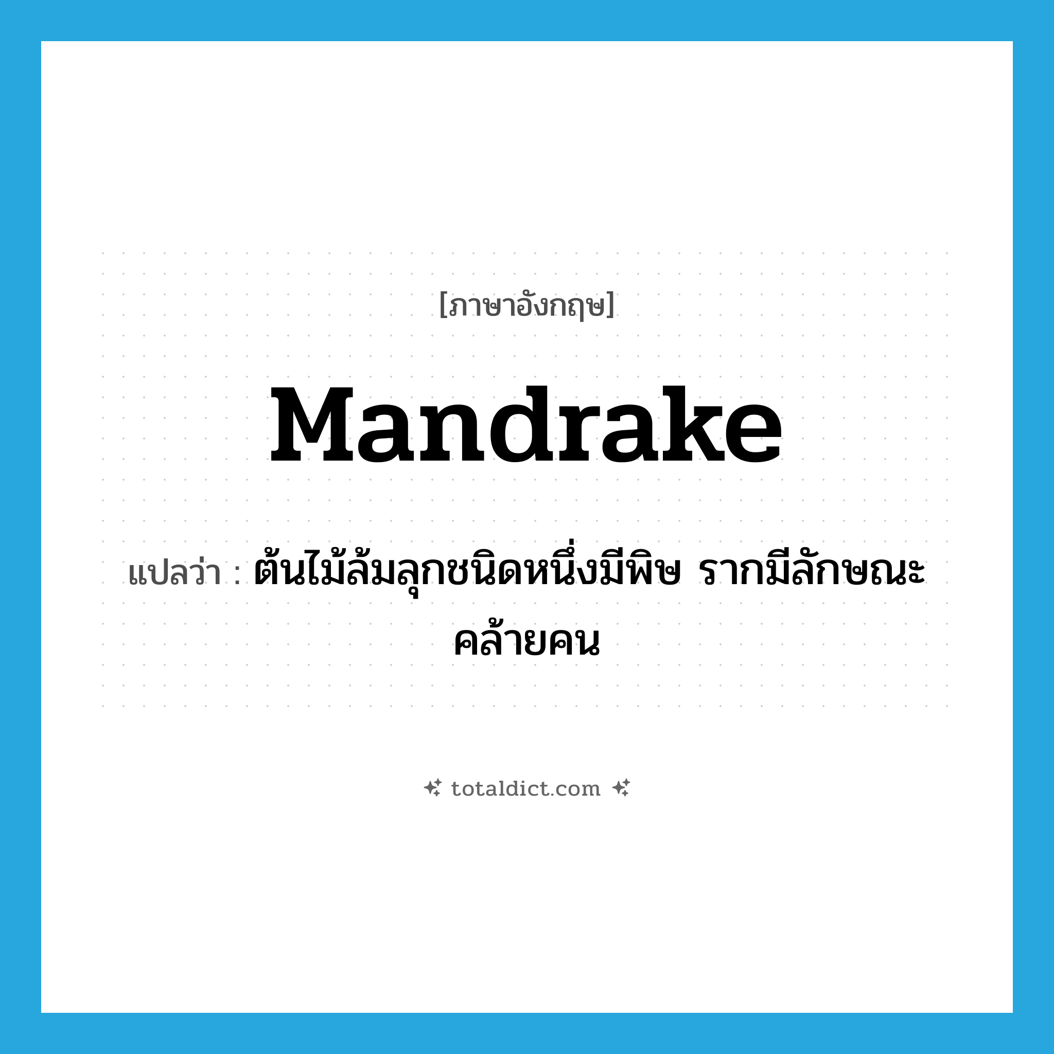 mandrake แปลว่า?, คำศัพท์ภาษาอังกฤษ mandrake แปลว่า ต้นไม้ล้มลุกชนิดหนึ่งมีพิษ รากมีลักษณะคล้ายคน ประเภท N หมวด N