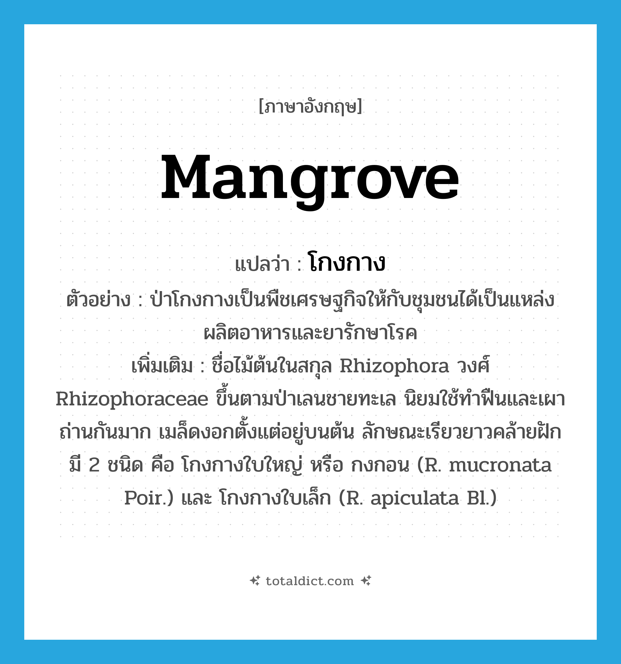 mangrove แปลว่า?, คำศัพท์ภาษาอังกฤษ mangrove แปลว่า โกงกาง ประเภท N ตัวอย่าง ป่าโกงกางเป็นพืชเศรษฐกิจให้กับชุมชนได้เป็นแหล่งผลิตอาหารและยารักษาโรค เพิ่มเติม ชื่อไม้ต้นในสกุล Rhizophora วงศ์ Rhizophoraceae ขึ้นตามป่าเลนชายทะเล นิยมใช้ทำฟืนและเผาถ่านกันมาก เมล็ดงอกตั้งแต่อยู่บนต้น ลักษณะเรียวยาวคล้ายฝัก มี 2 ชนิด คือ โกงกางใบใหญ่ หรือ กงกอน (R. mucronata Poir.) และ โกงกางใบเล็ก (R. apiculata Bl.) หมวด N